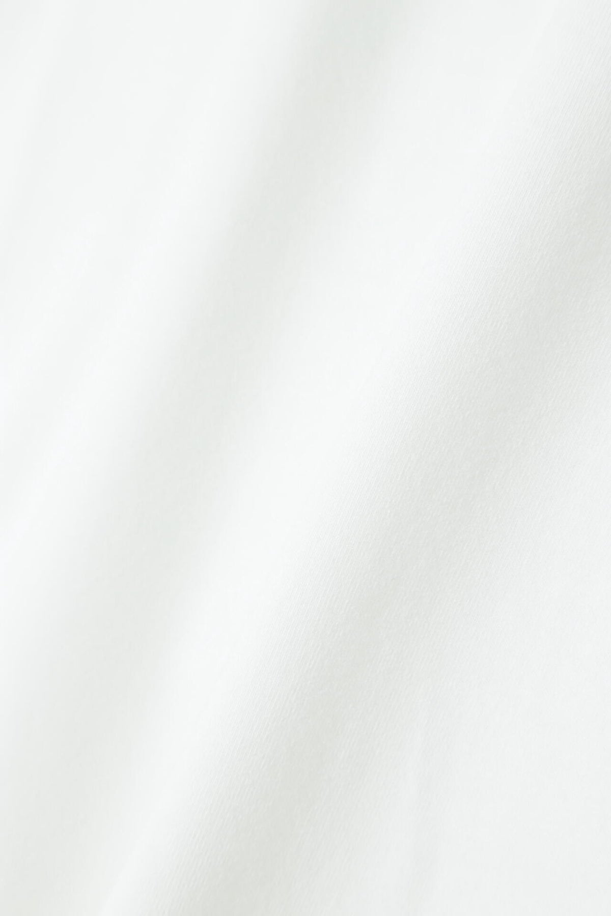 ベア天竺長袖ハイネックカットソー (MENS)