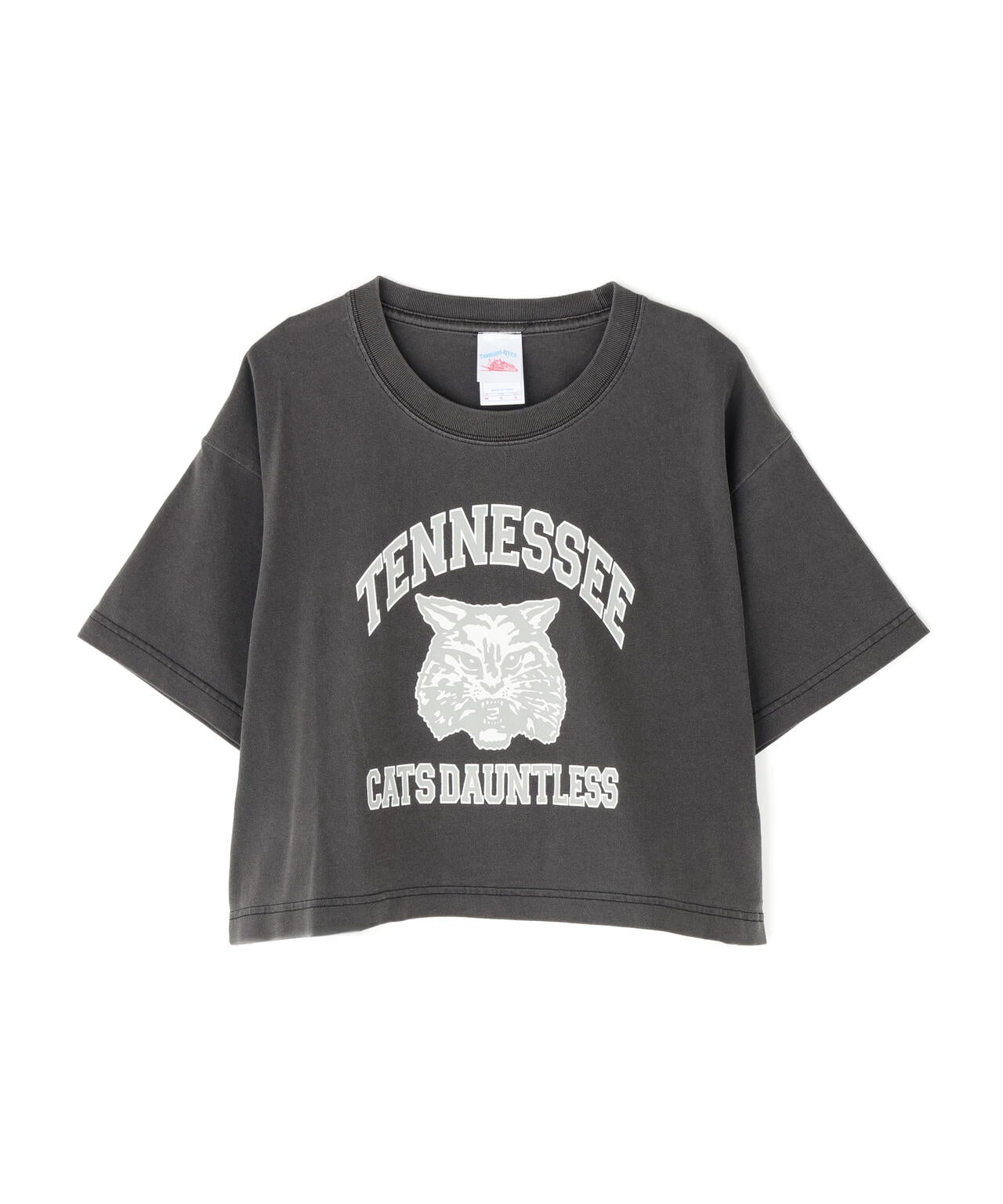 〈フリーズマート別注〉テネシーリバーショート丈Tシャツ