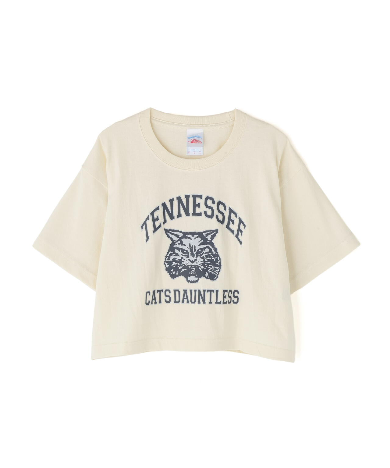 〈フリーズマート別注〉テネシーリバーショート丈Tシャツ