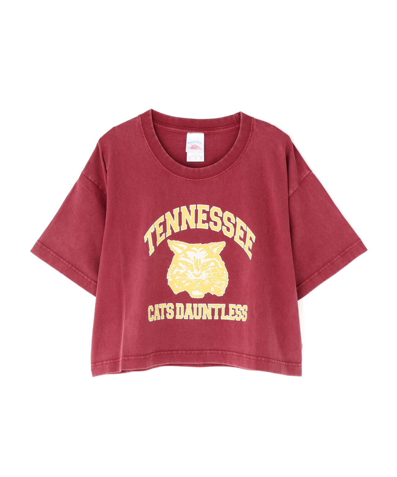 〈フリーズマート別注〉テネシーリバーショート丈Tシャツ