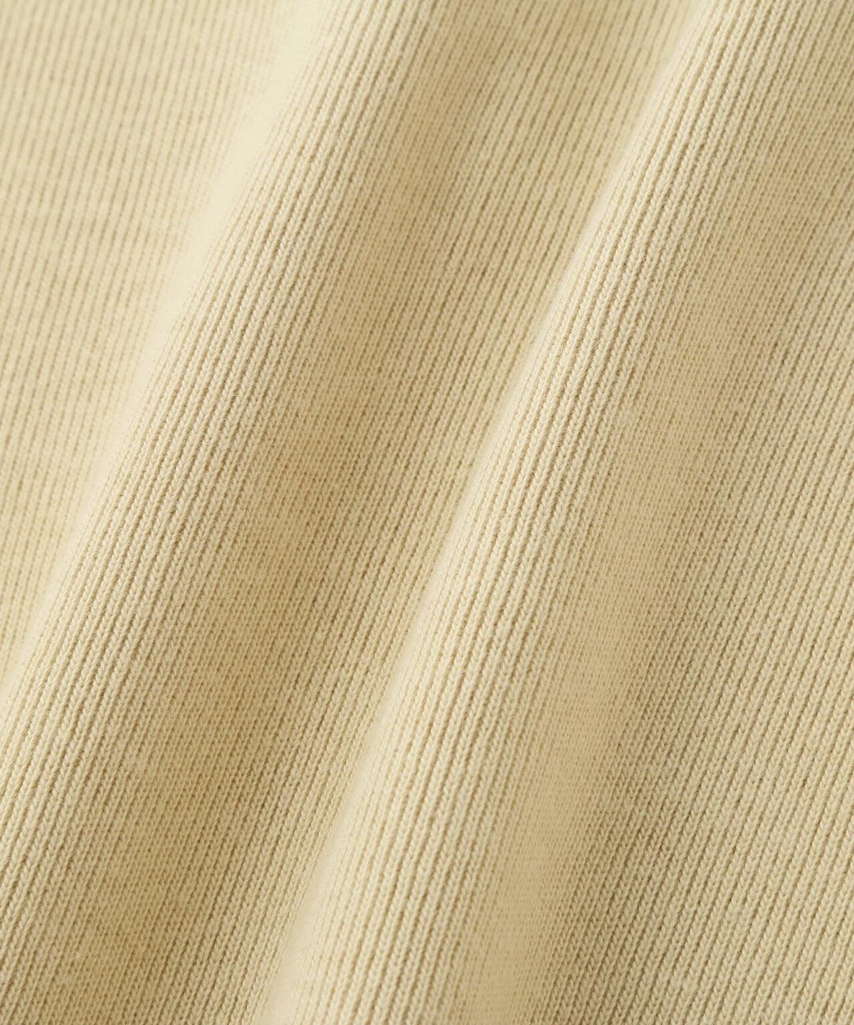 YLEVE / COTTON RIB PULLOVER
