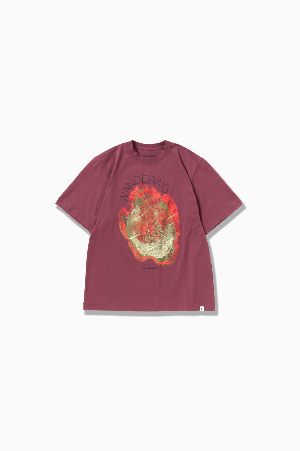 WANDERING printed T