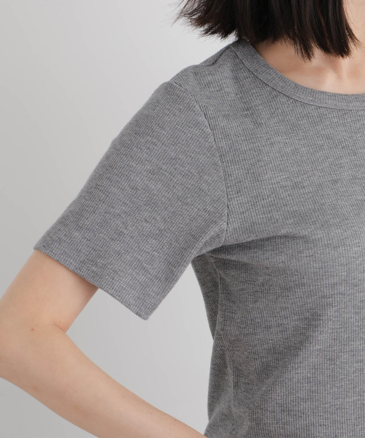 ラメリブカットクルーネックTシャツ