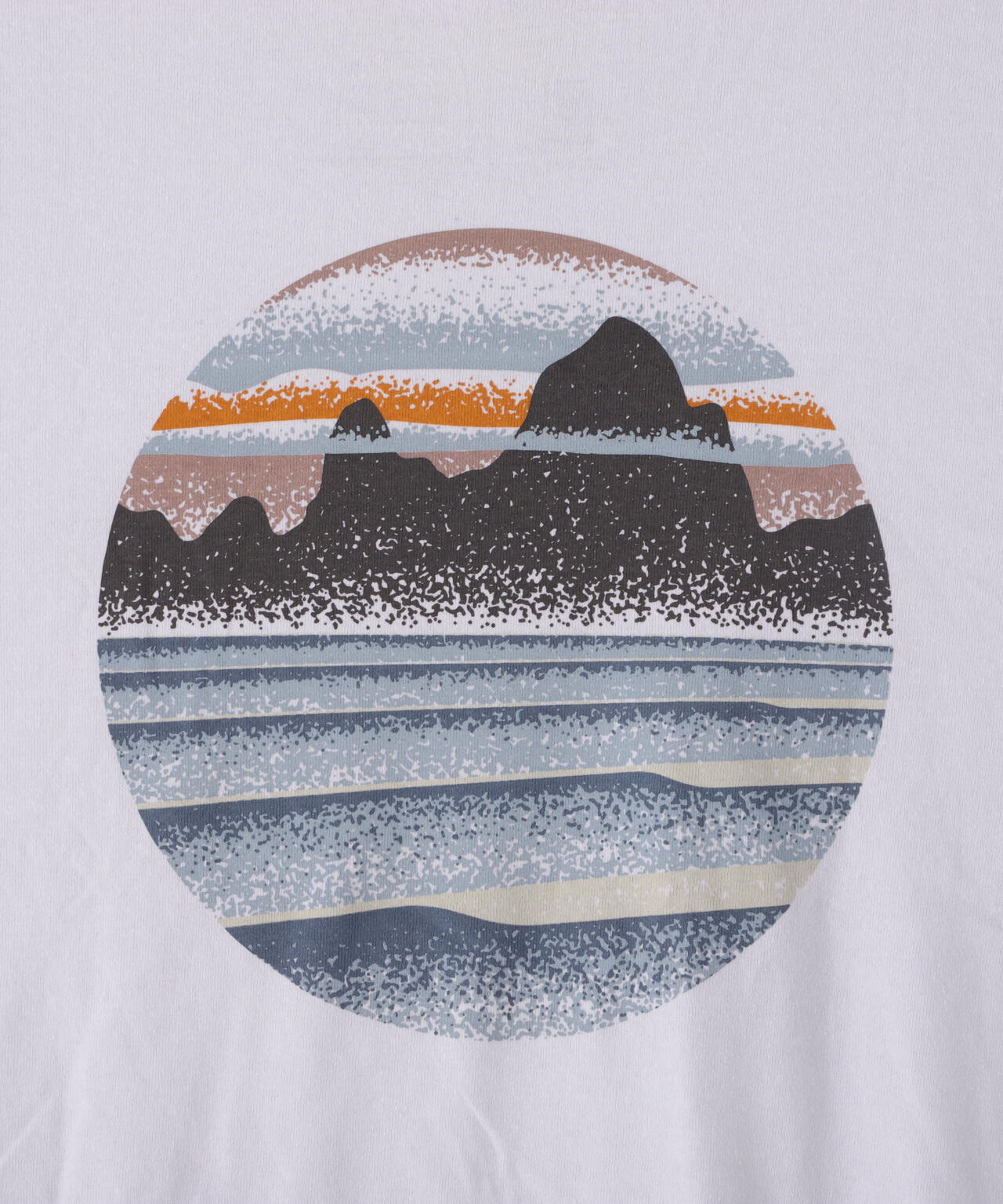 Patagonia/パタゴニア ロングスリーブ・ステンシル・レスポンシビリティー
