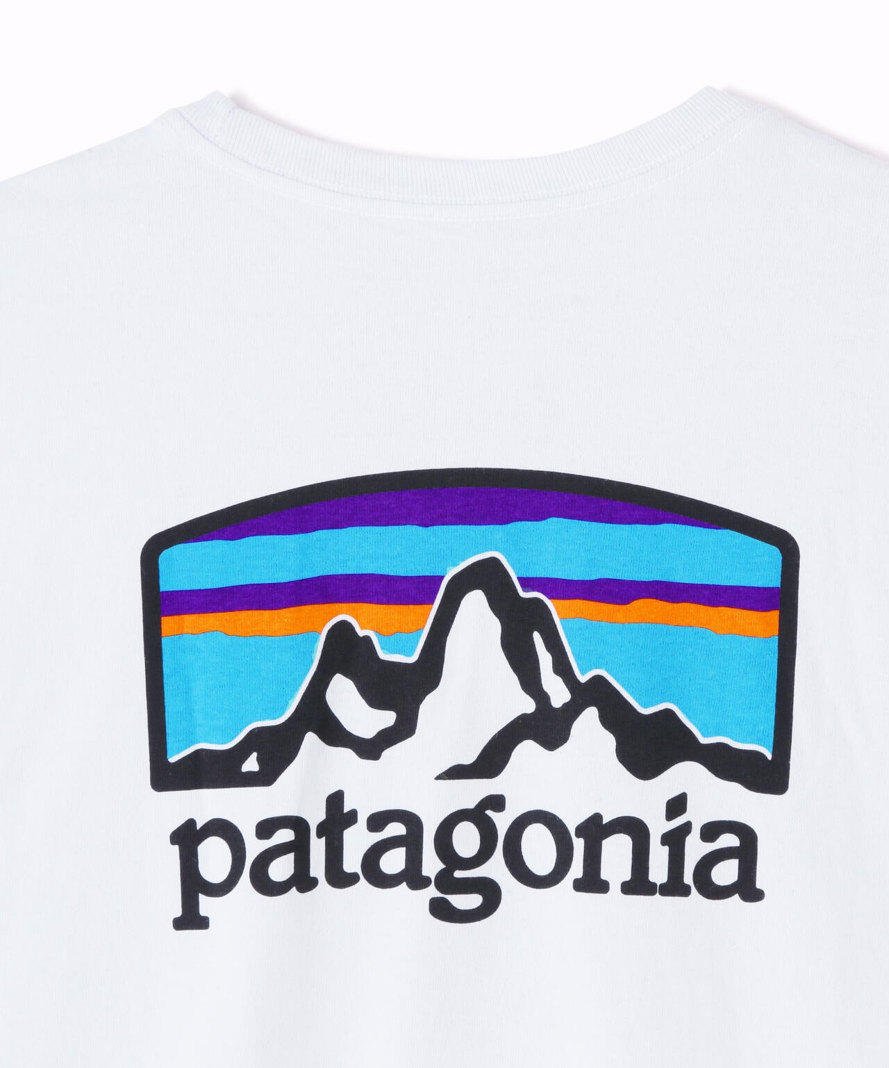 Patagonia/パタゴニア メンズ・ロングスリーブフィッツロイホライゾンズレスポンシビリティー