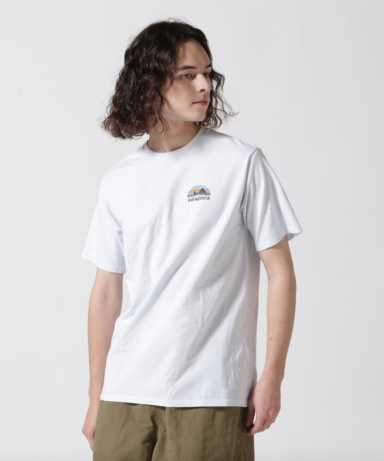 Patagonia/パタゴニア メンズ・スカイライン・ステンシル・レスポンシビリティー 37673