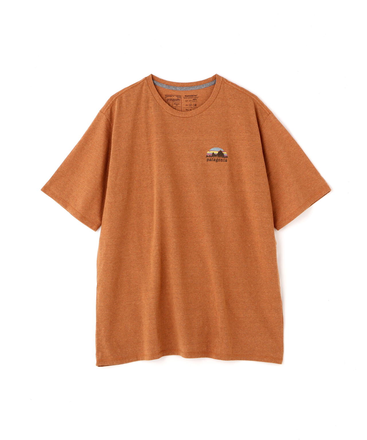 Patagonia/パタゴニア メンズ・スカイライン・ステンシル・レスポンシビリティー 37673