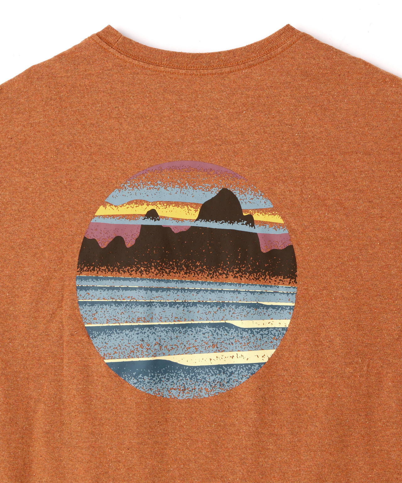 Patagonia/パタゴニア メンズ・スカイライン・ステンシル・レスポンシビリティー 37673