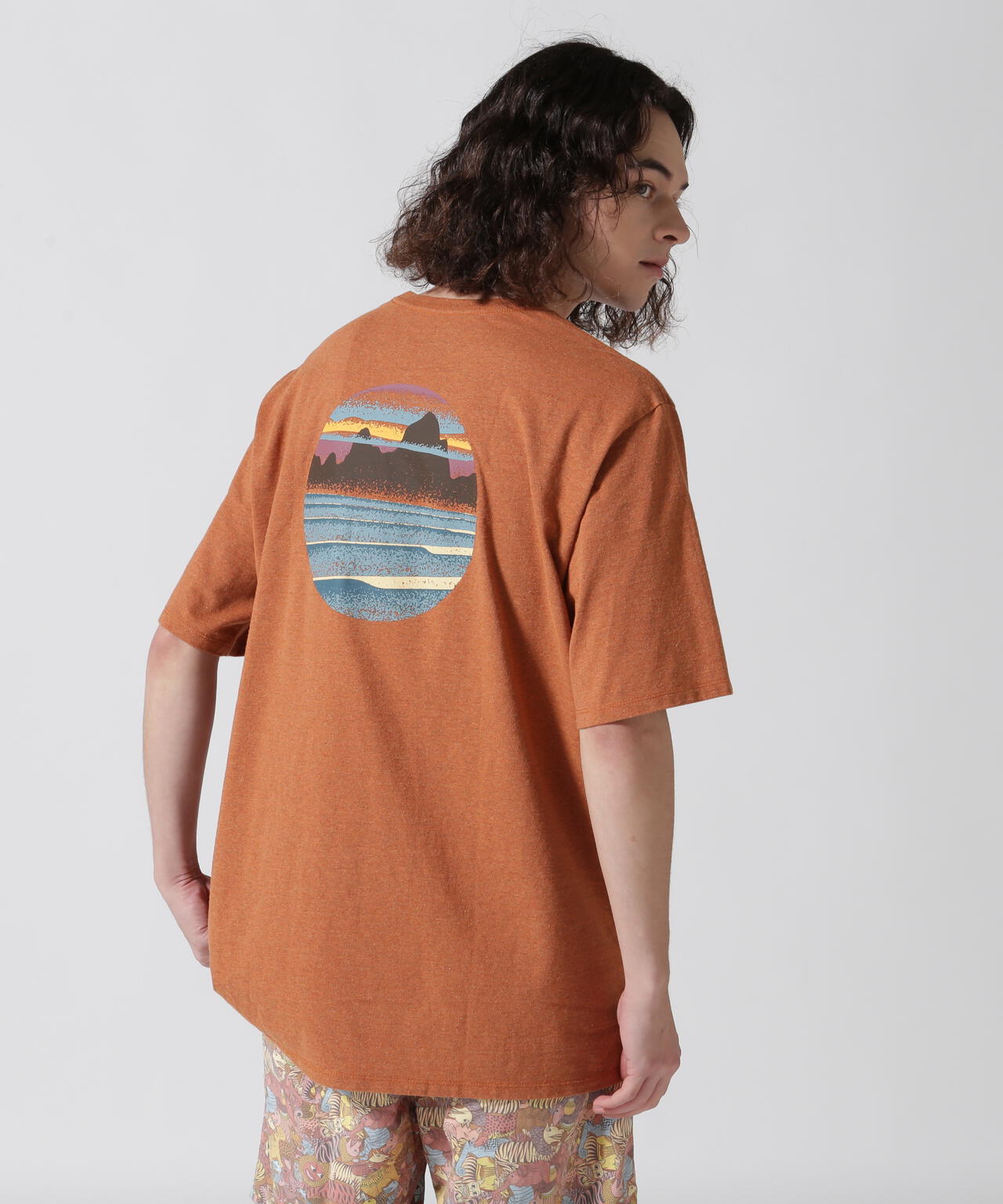 Patagonia/パタゴニア メンズ・スカイライン・ステンシル・レスポンシビリティー 37673