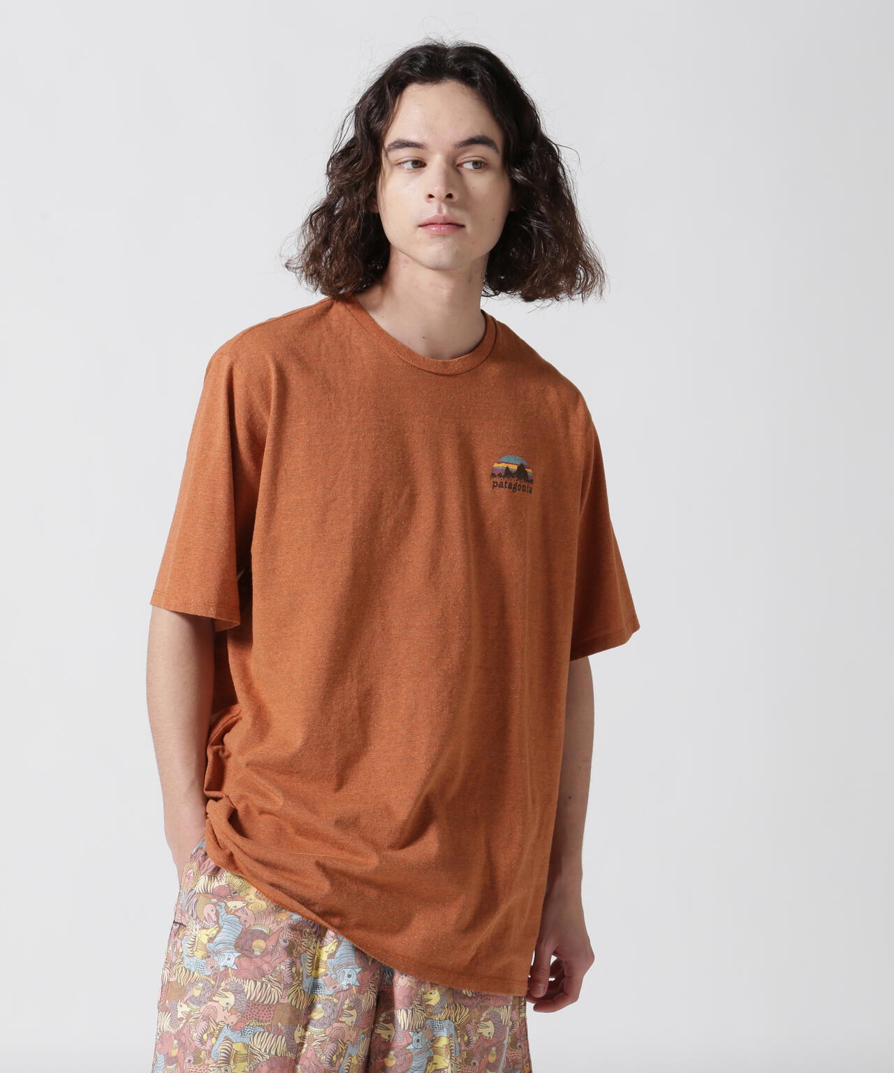 Patagonia/パタゴニア メンズ・スカイライン・ステンシル・レスポンシビリティー 37673