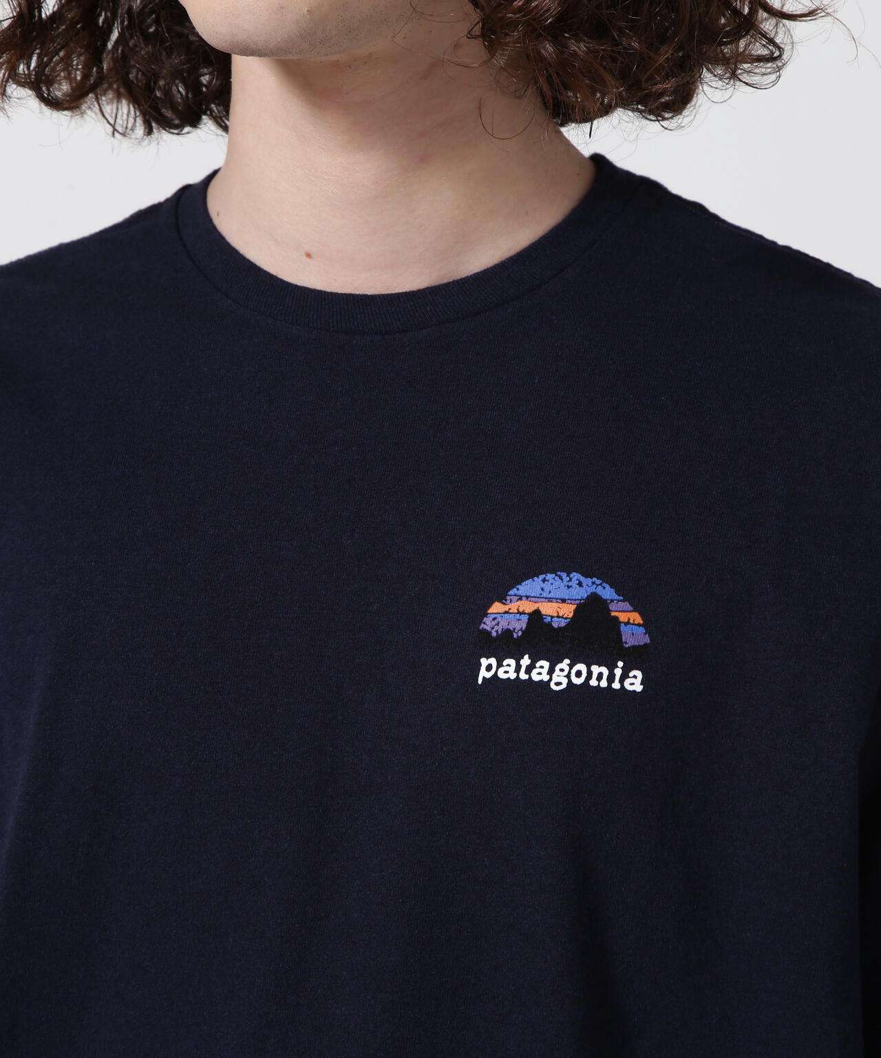 Patagonia/パタゴニア メンズ・スカイライン・ステンシル・レスポンシビリティー 37673
