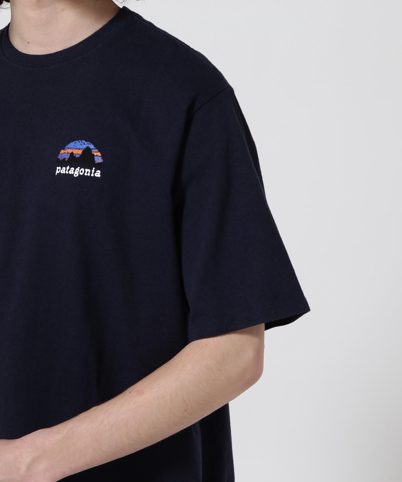 Patagonia/パタゴニア メンズ・スカイライン・ステンシル・レスポンシビリティー 37673