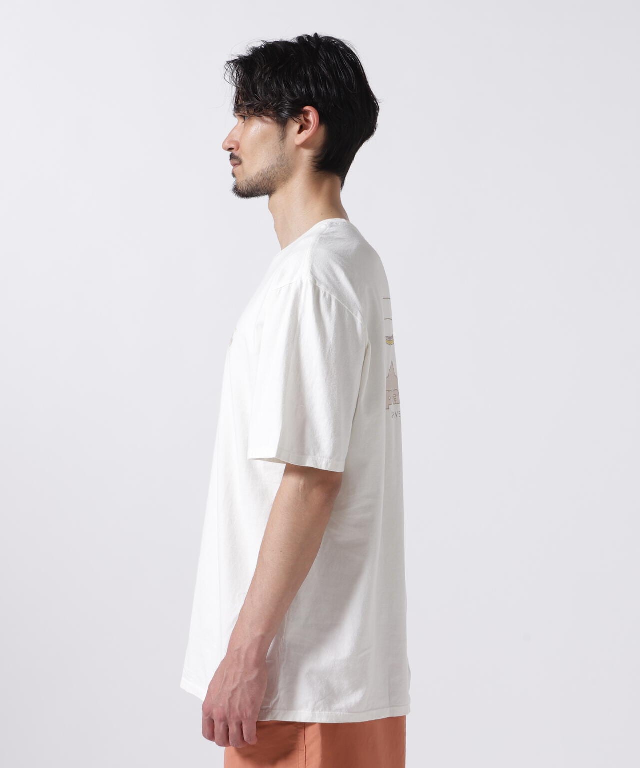 Patagonia/パタゴニア メンズ・'73 スカイライン・オーガニック・Tシャツ