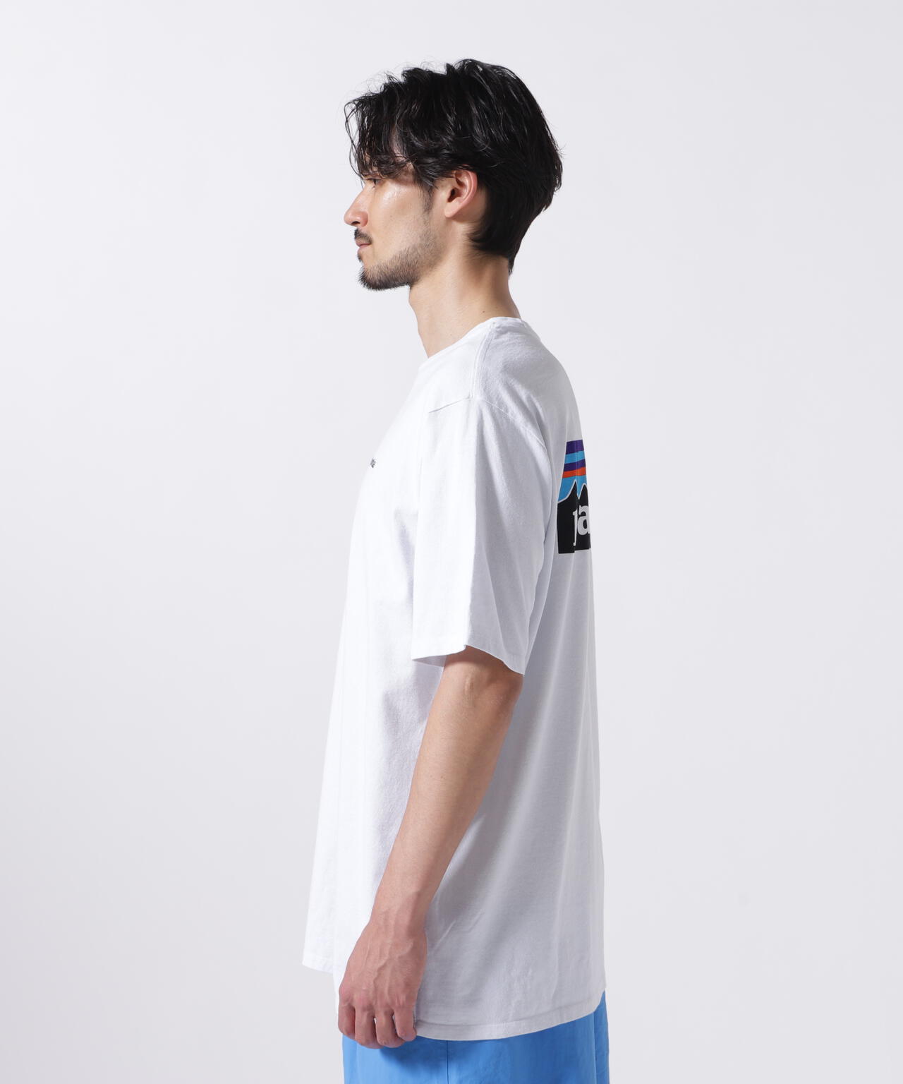Patagonia/パタゴニア メンズ・P-6ロゴ・レスポンシビリティー