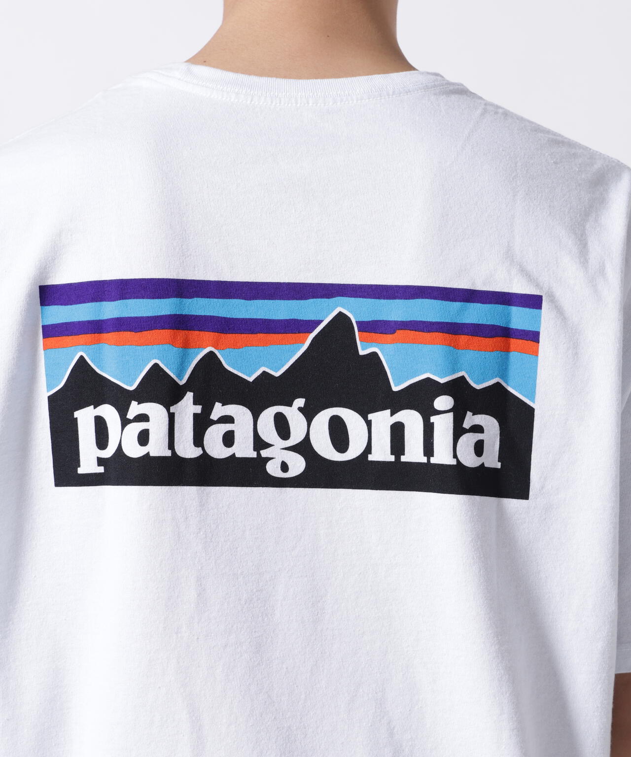 Patagonia/パタゴニア メンズ・P-6ロゴ・レスポンシビリティー