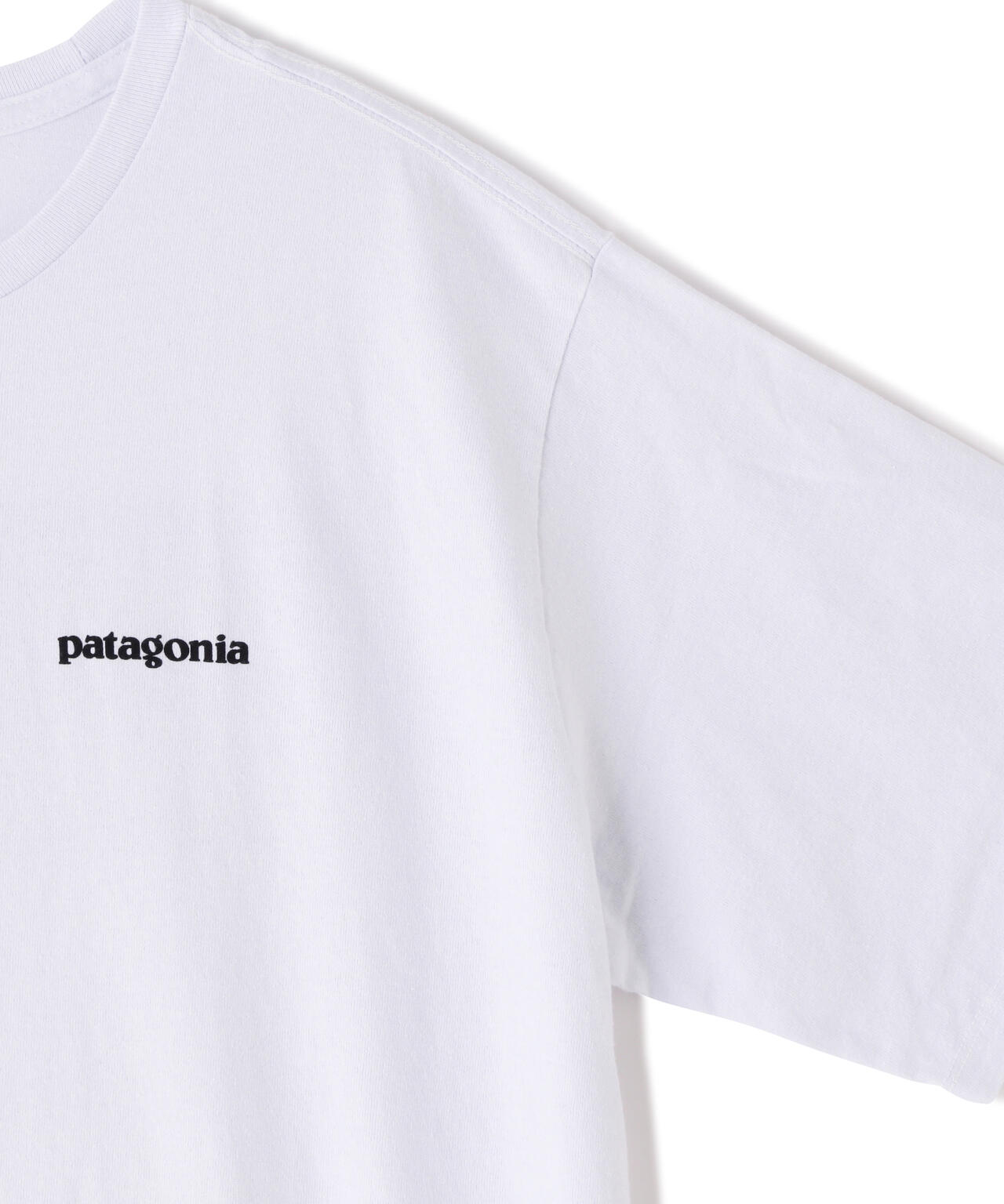 Patagonia/パタゴニア メンズ・P-6ロゴ・レスポンシビリティー 38504