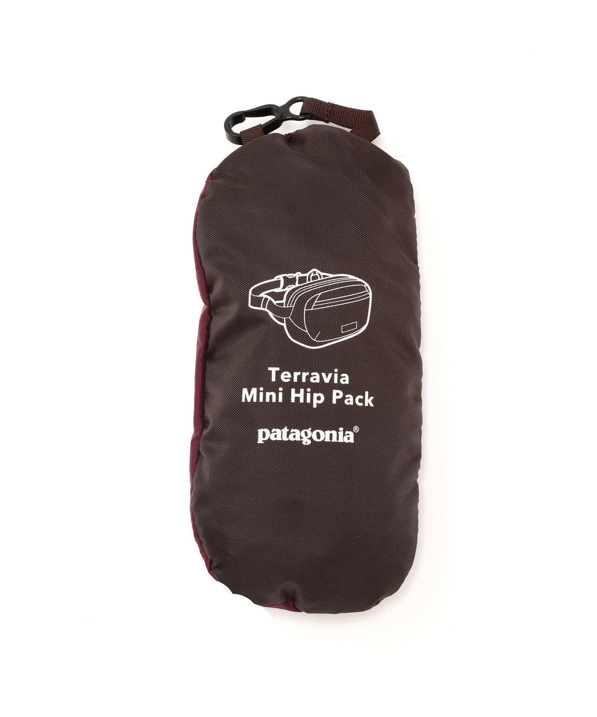 Patagonia/パタゴニア テラヴィア・ミニ・ヒップ・パック 1L 49448