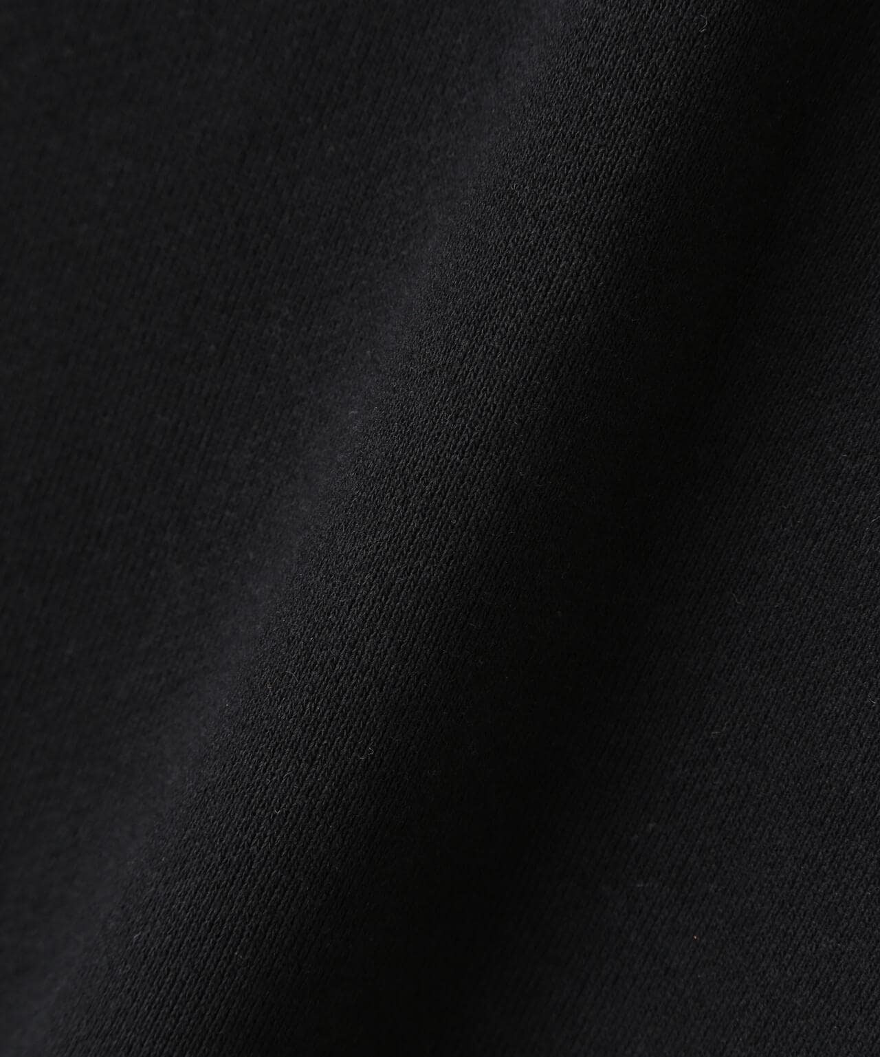 WEB LIMITED/HOODED SWEAT OVAL CHENILLE LOGO/オーバル ロゴ パーカー