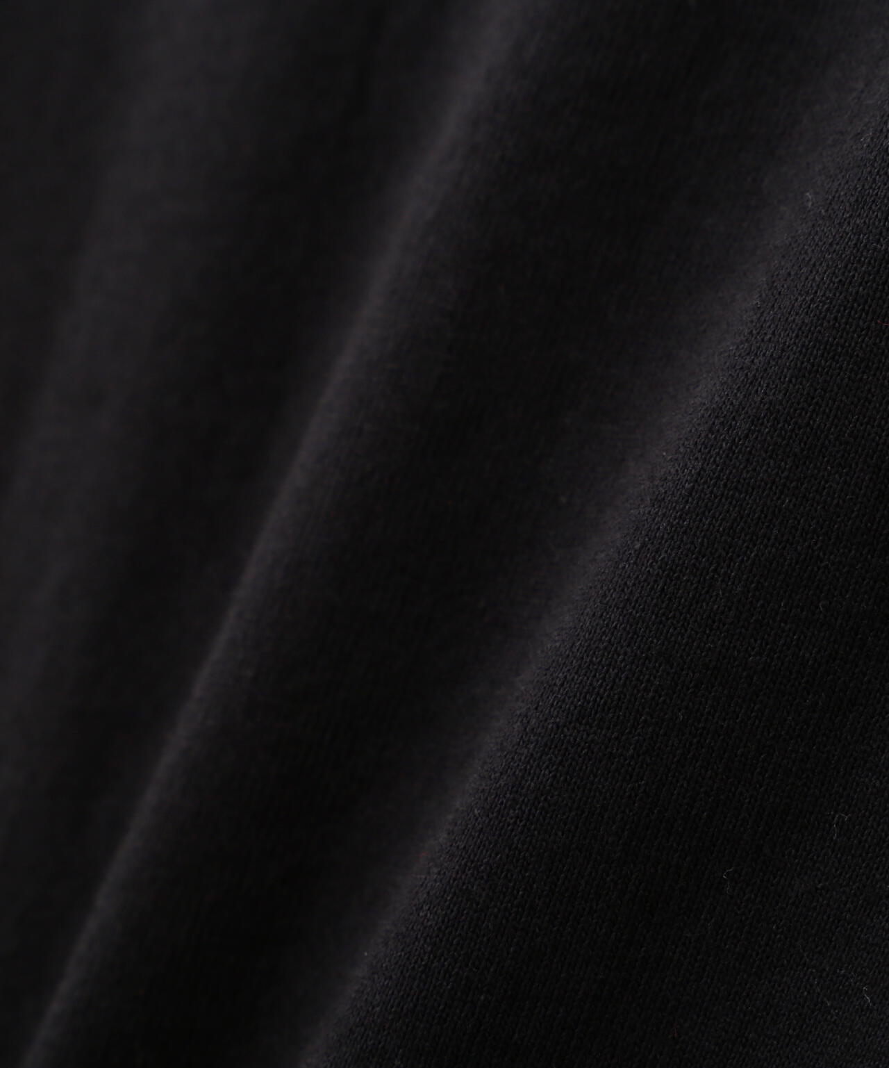 HENLEY TーSHIRT "CREST DRAGON EMB"/刺繍ヘンリーTシャツ "クレスト ドラゴン"