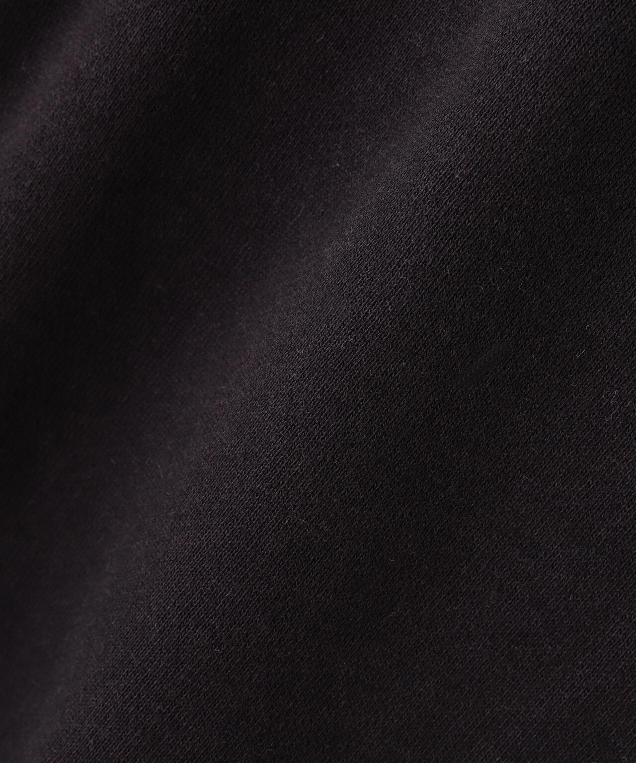 《WEB&DEPOT限定》DAILY EX LOGO CREW NECK SWEAT