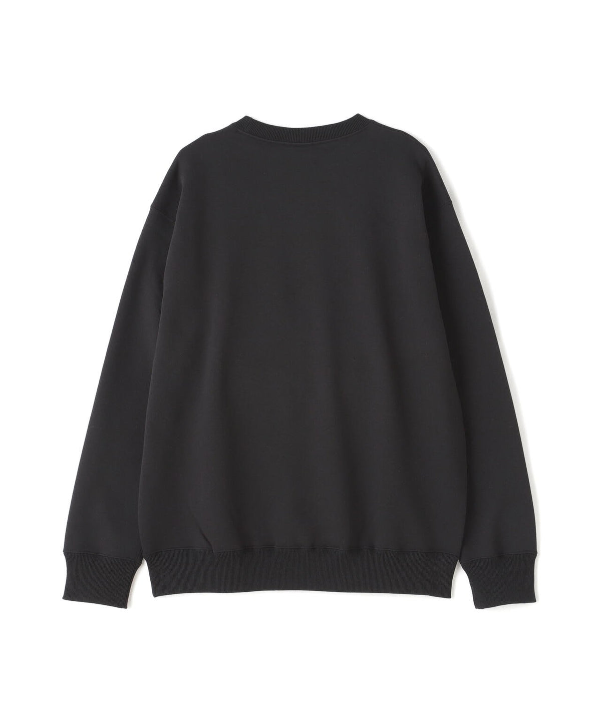 THE NORTH FACE/ザ・ノース・フェイス/SMALL LOGO HEATHER SWEAT CREW