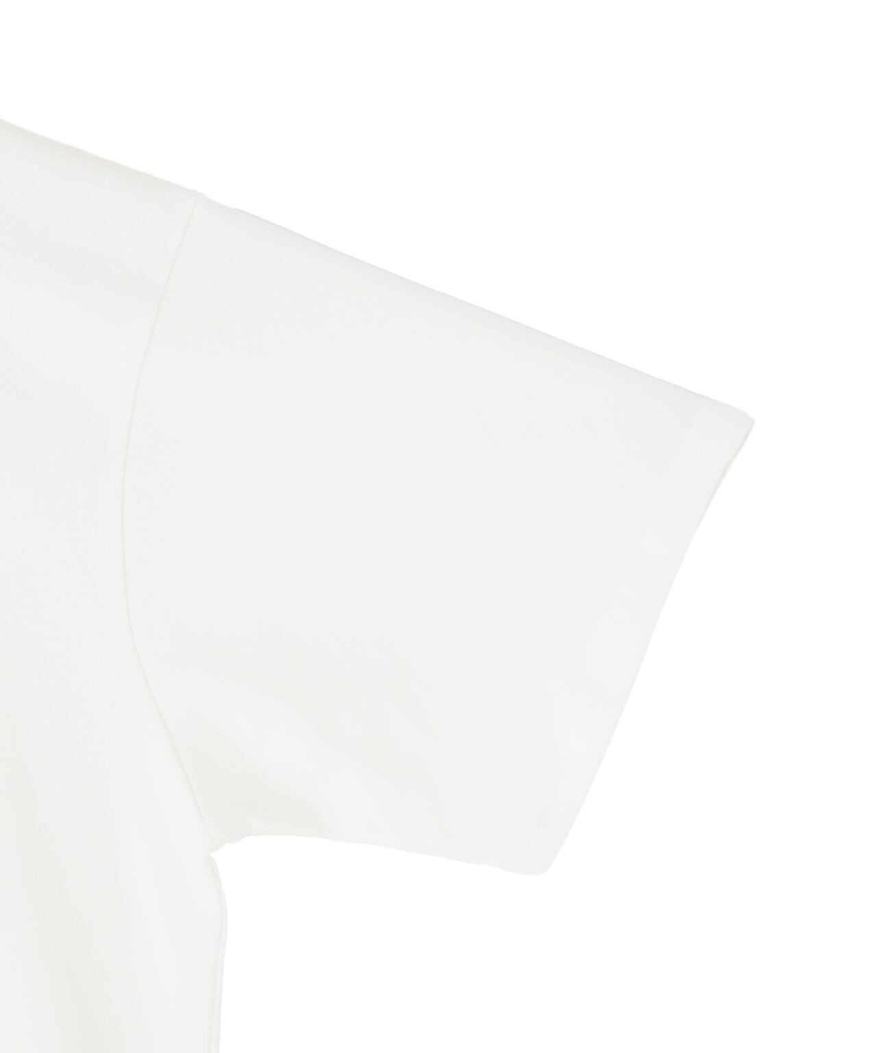 A4A/エーフォーエー/ S/S TEE DAVINCI