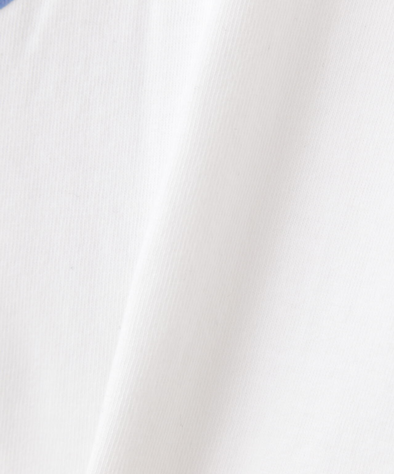 SURT(サート)THE ROLLING STONES TAN No2 Tee