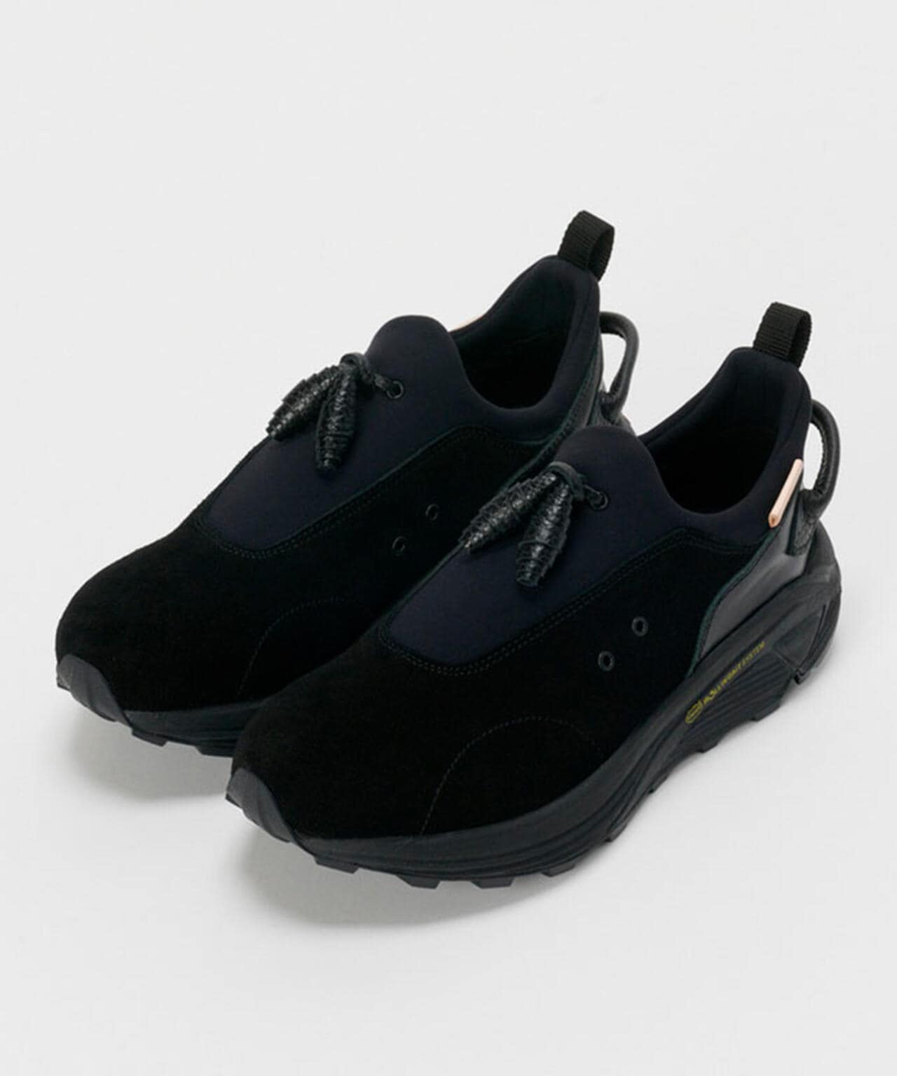 Hender Scheme/エンダースキーマ/species