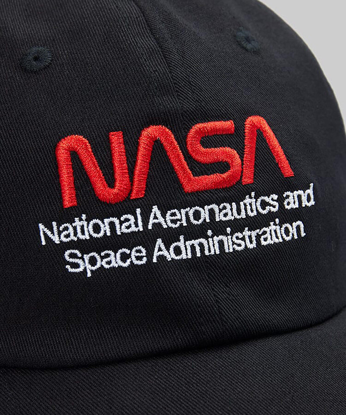 NASA WORM LOGO CAP / ナサ ワーム ロゴ キャップ
