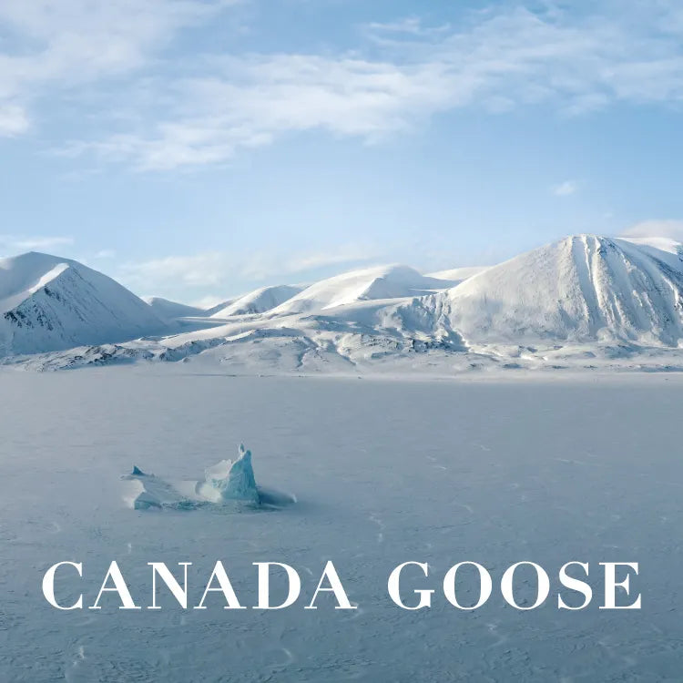 CANADA GOOSE 2025AW