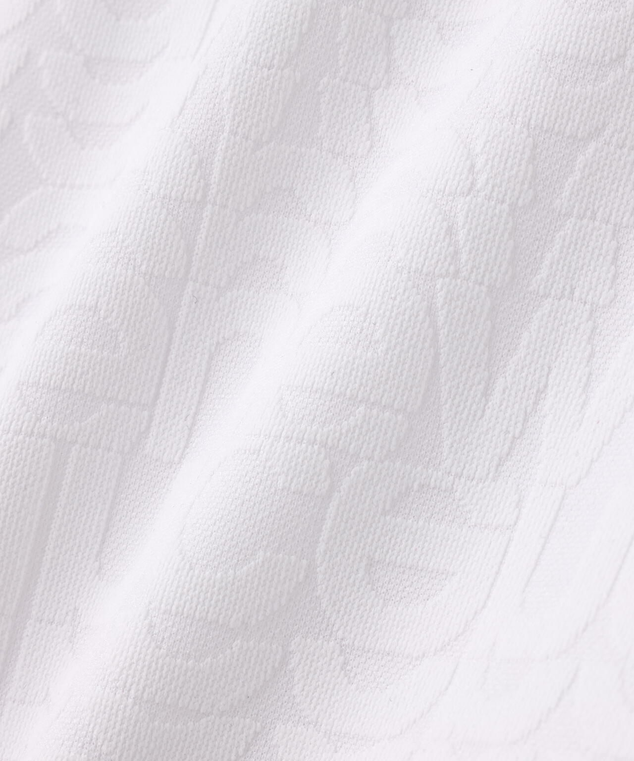 リフレクト・オーバーラップロゴ柄 ハーフジップ モックネック プルオーバー (WOMENS)