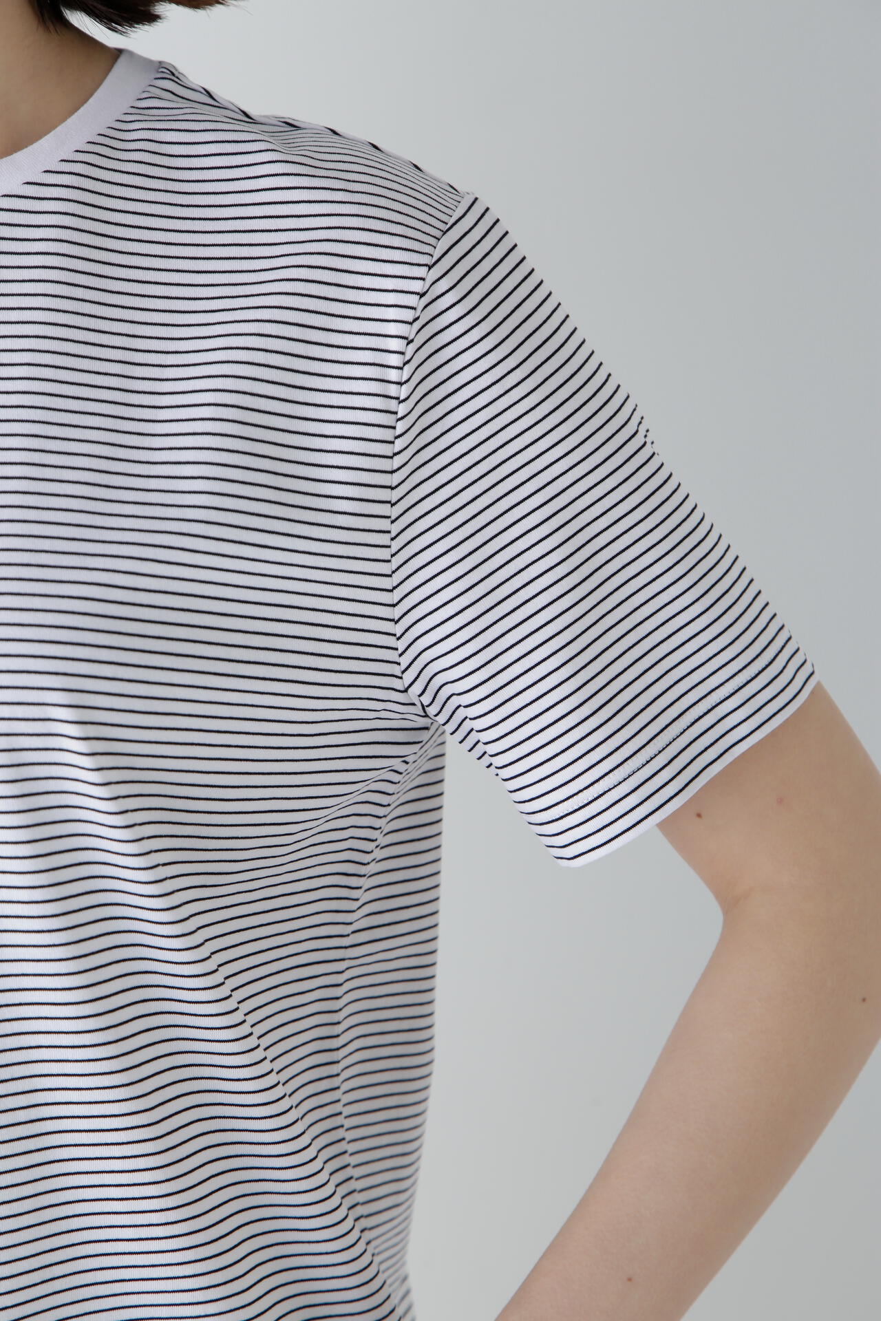半袖Ｔシャツボーダーオーガニック綿天竺