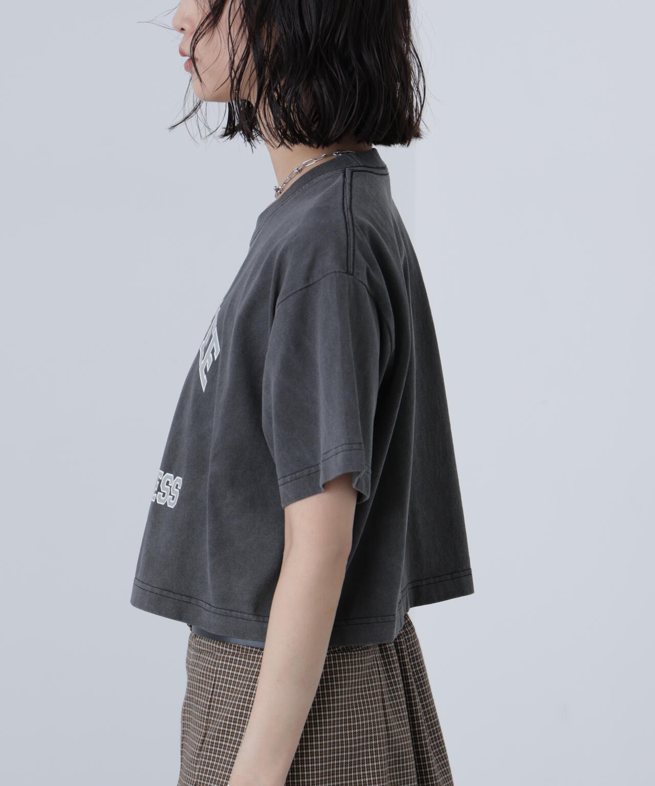 〈フリーズマート別注〉テネシーリバーショート丈Tシャツ