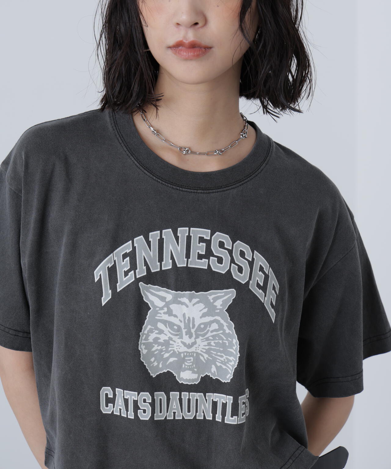 〈フリーズマート別注〉テネシーリバーショート丈Tシャツ