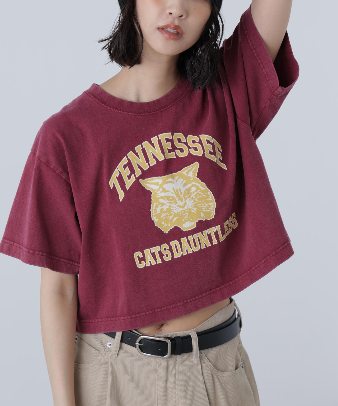 〈フリーズマート別注〉テネシーリバーショート丈Tシャツ