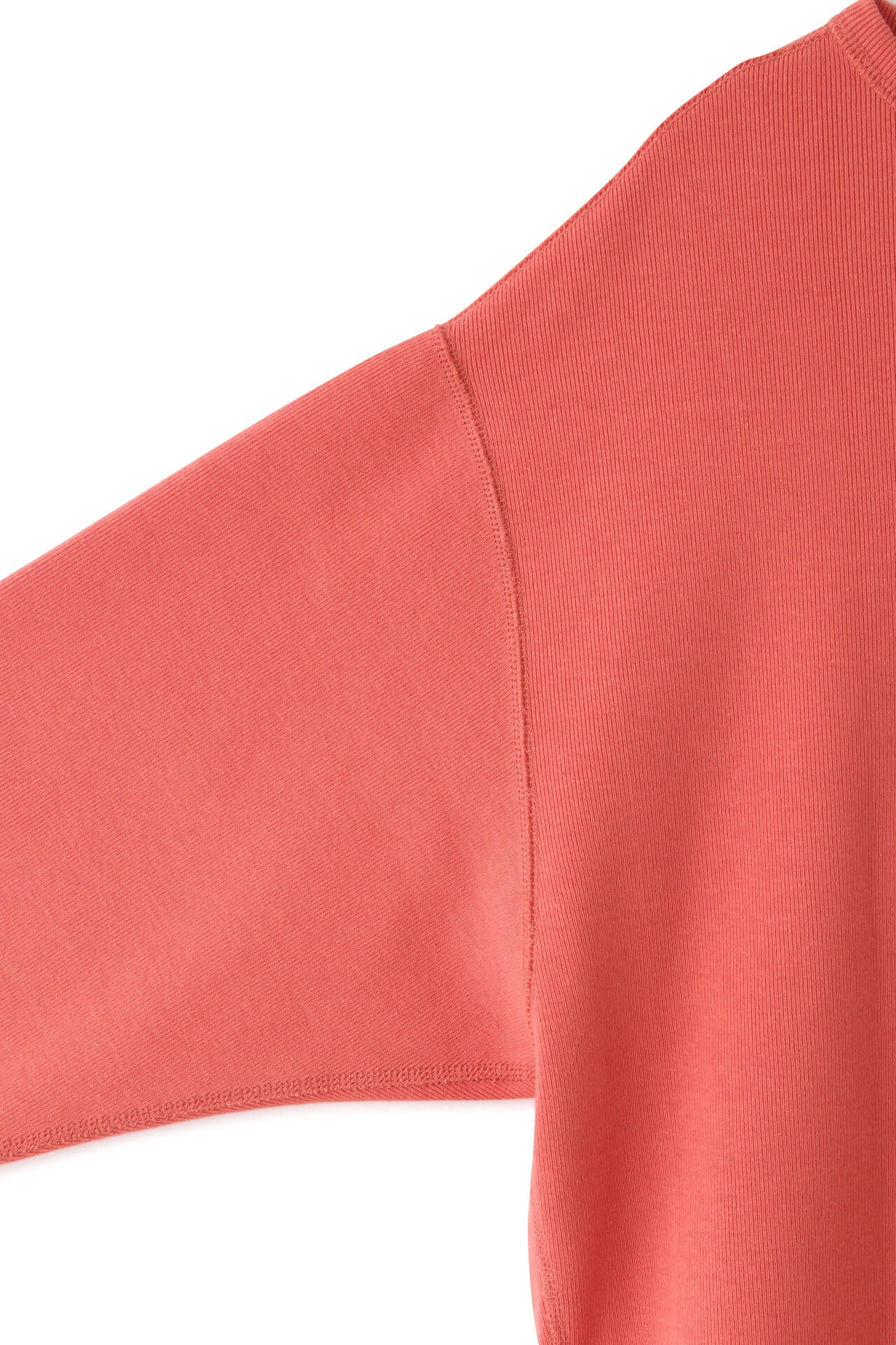 YLEVE / COTTON RIB PULLOVER