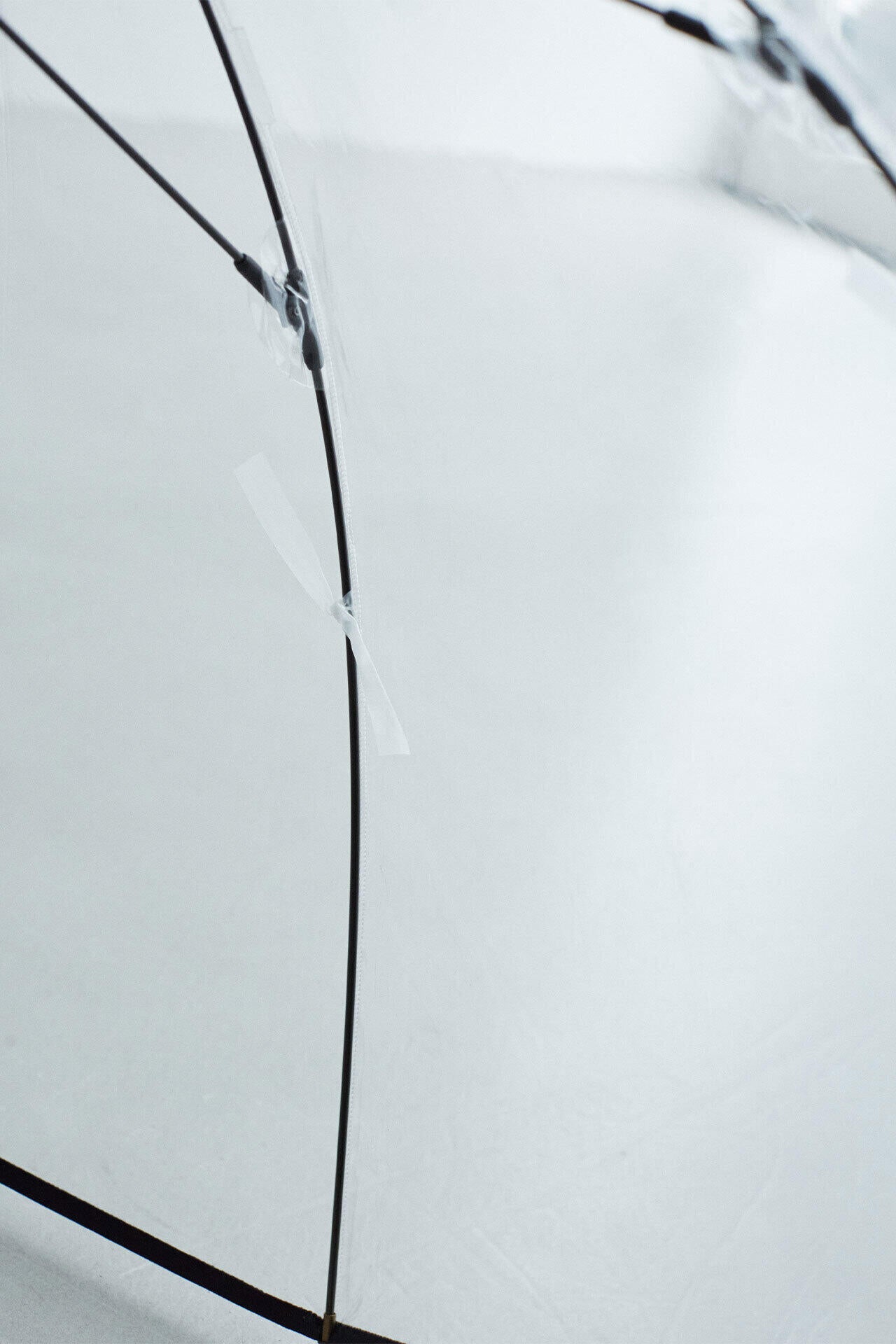 YLEVE / WHITE ROSE UMBRELLA