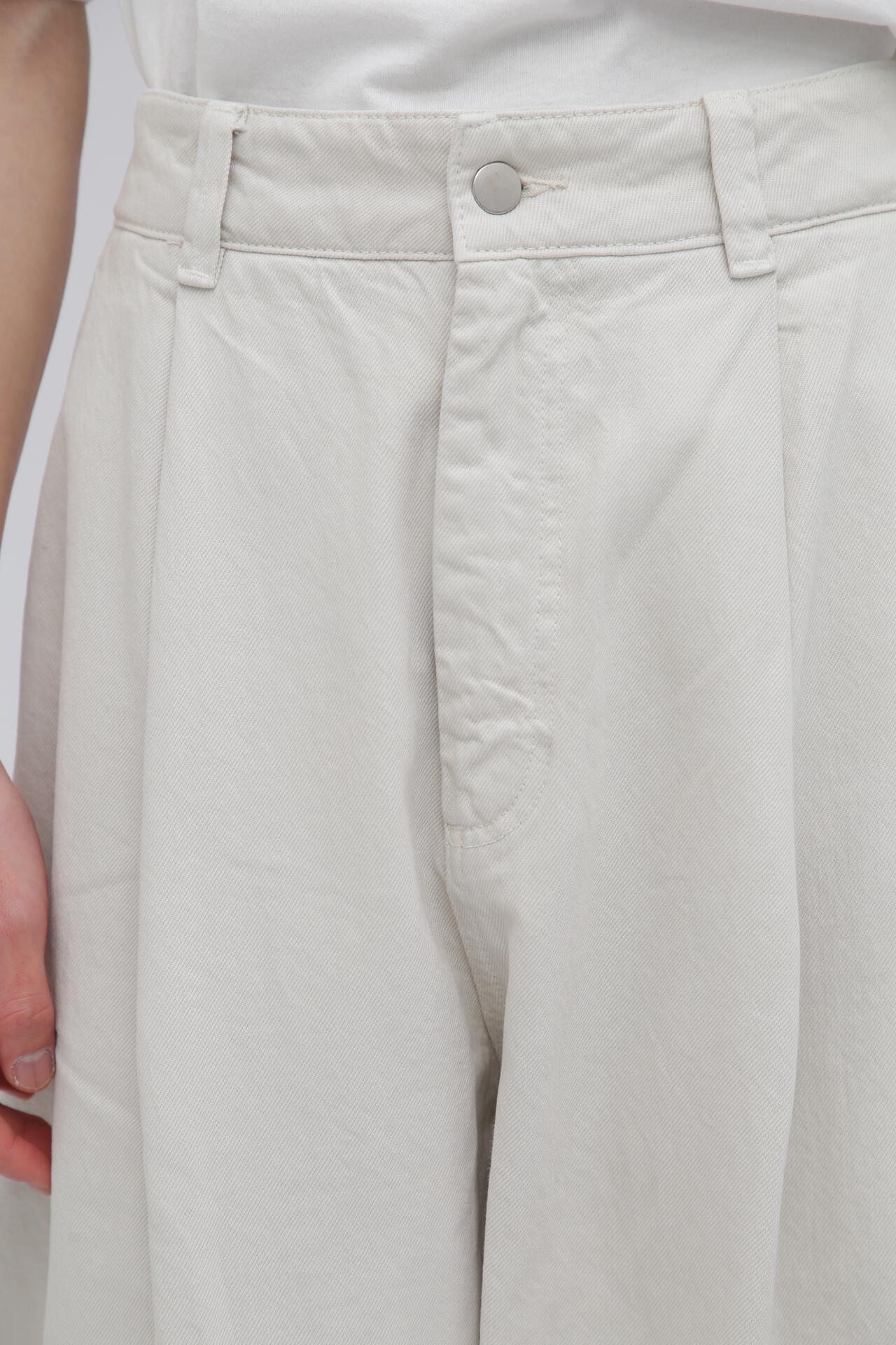 STUDIO NICHOLSON / ARCHIVE MODEL STRIPE DENIM PLEATED CARPENTER PANT