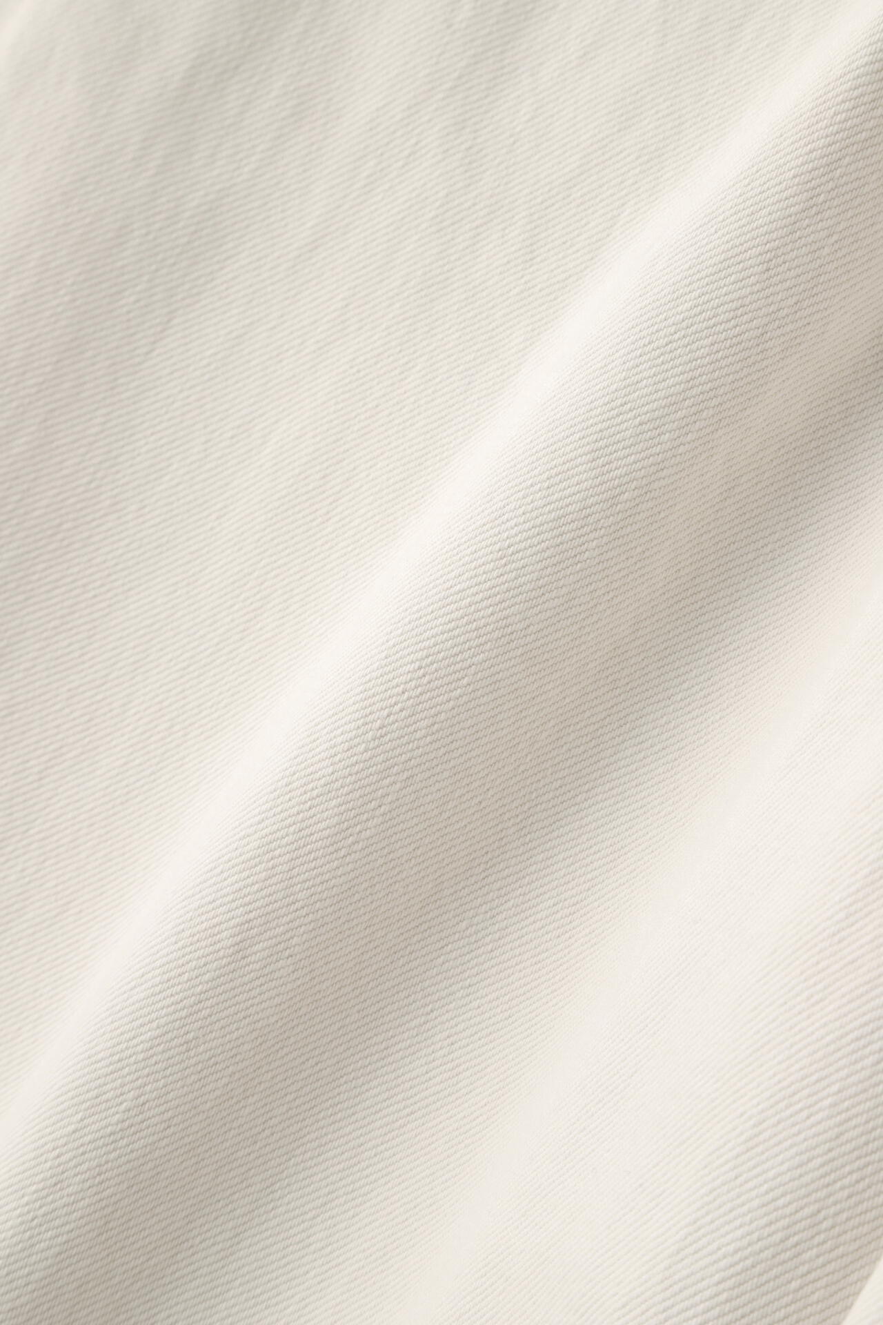 STUDIO NICHOLSON / ARCHIVE MODEL STRIPE DENIM PLEATED CARPENTER PANT