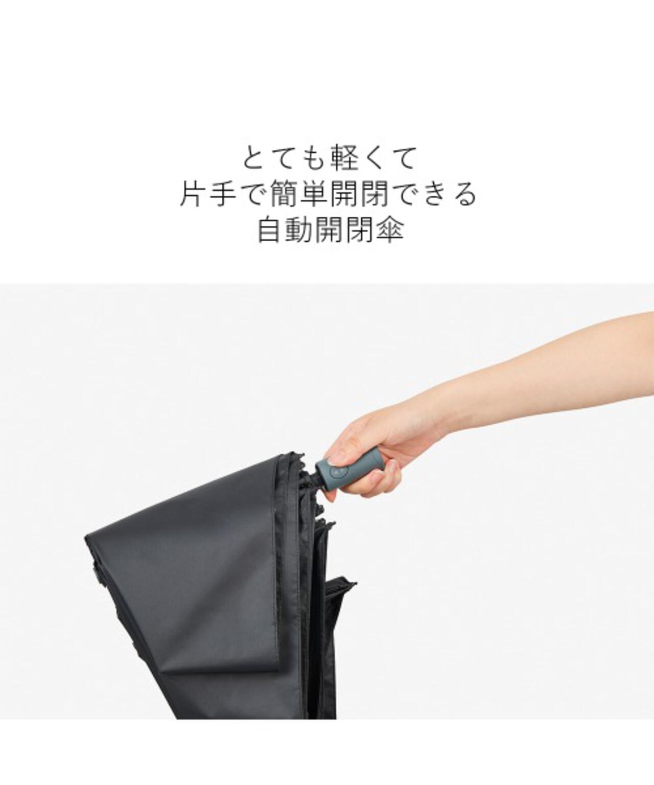 カルオート 60cm