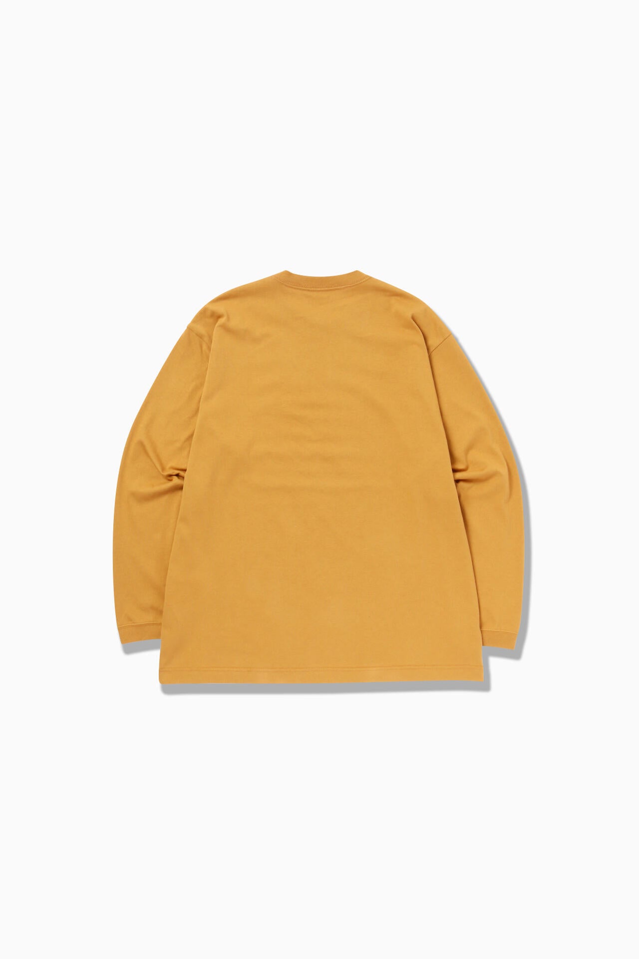 typography printed  LS T