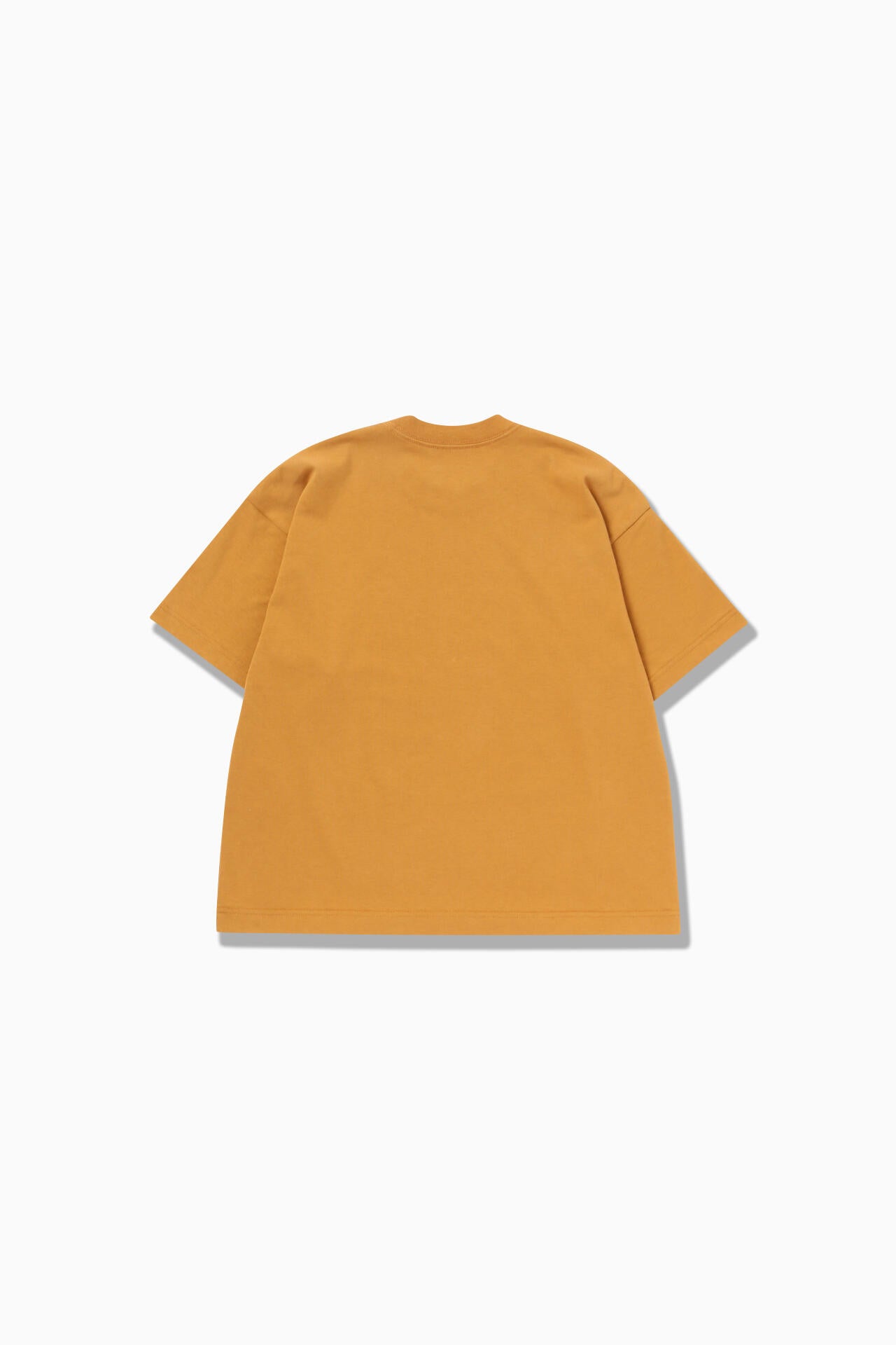 typography printed SS T