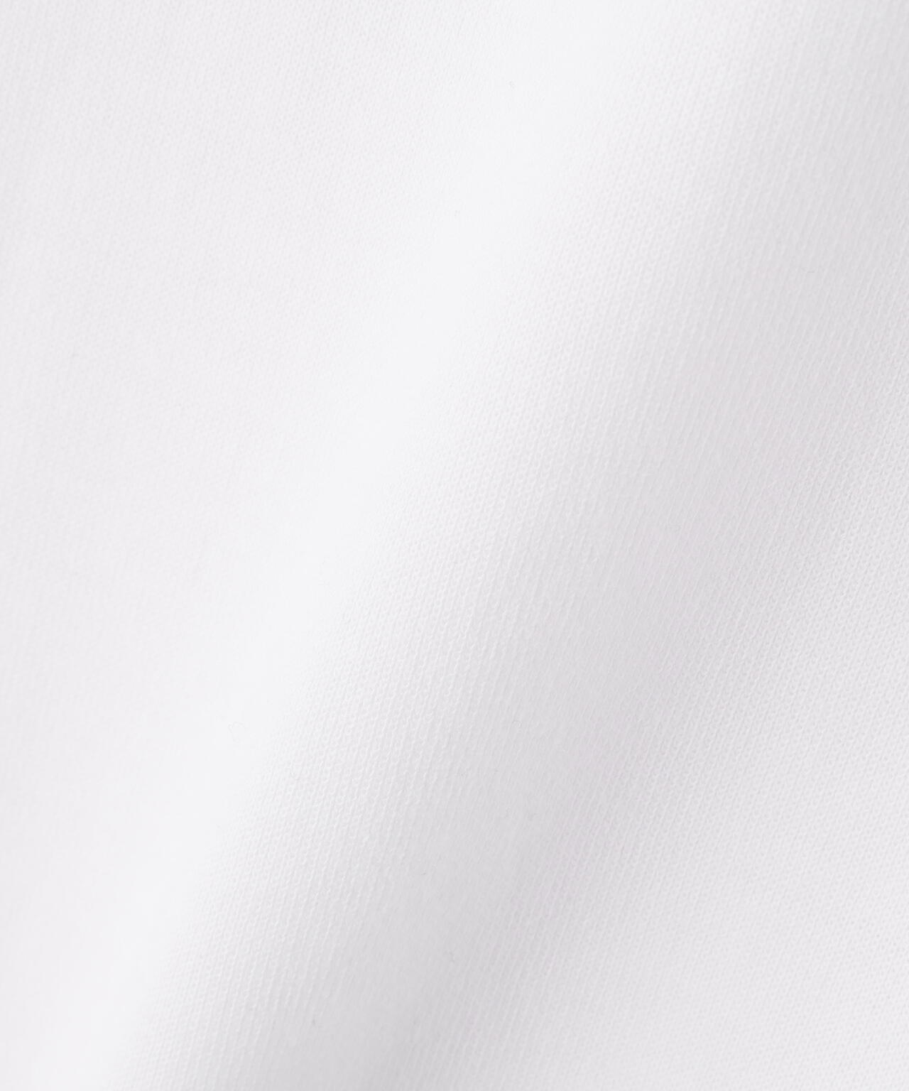 【PING APPAREL】全方向ストレッチダブルフェイスドライミックスアイストーンハーフジップカットソー＜NATIVE＞ (LADIES)