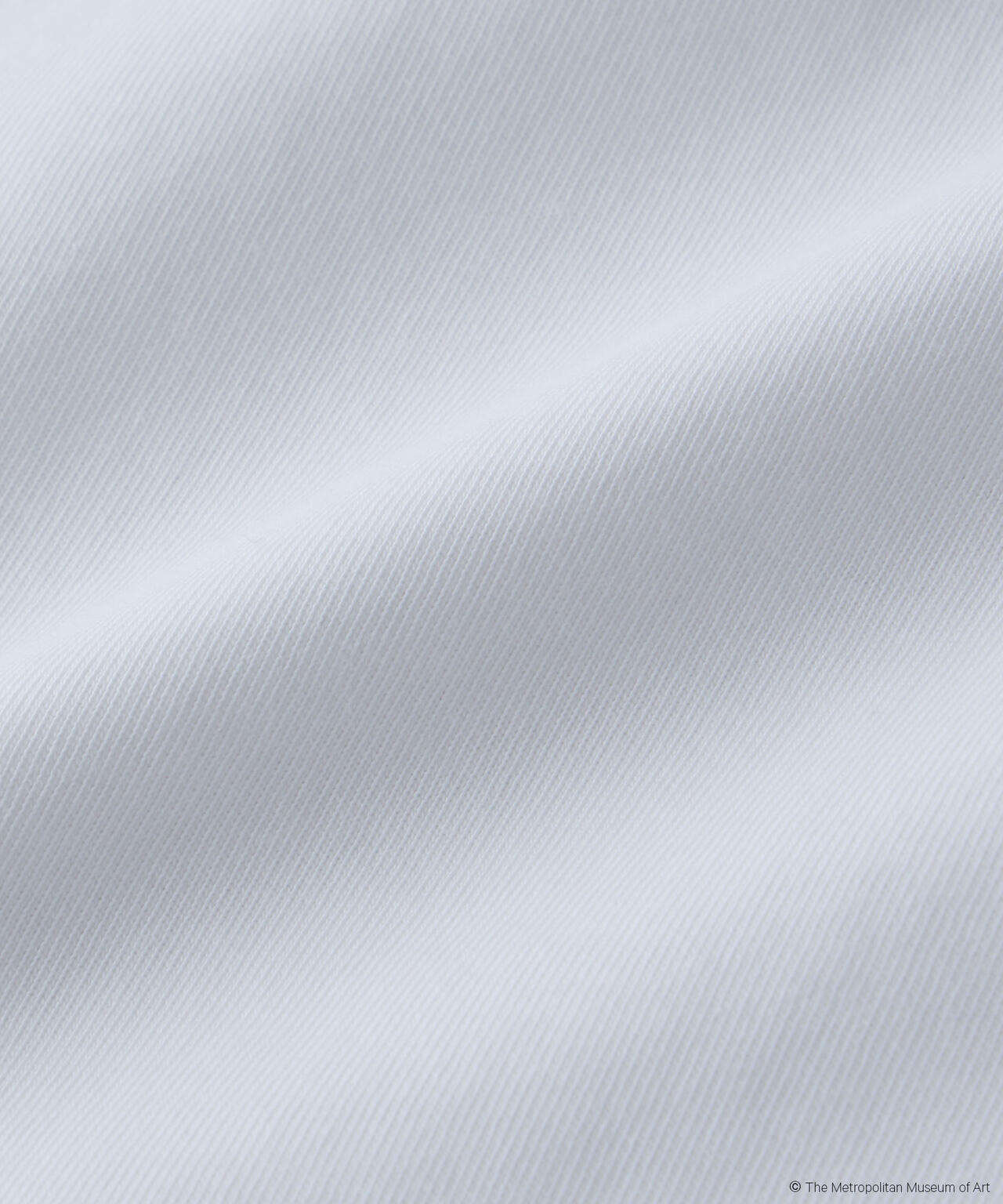 The Met 別注ロゴプリントTシャツ