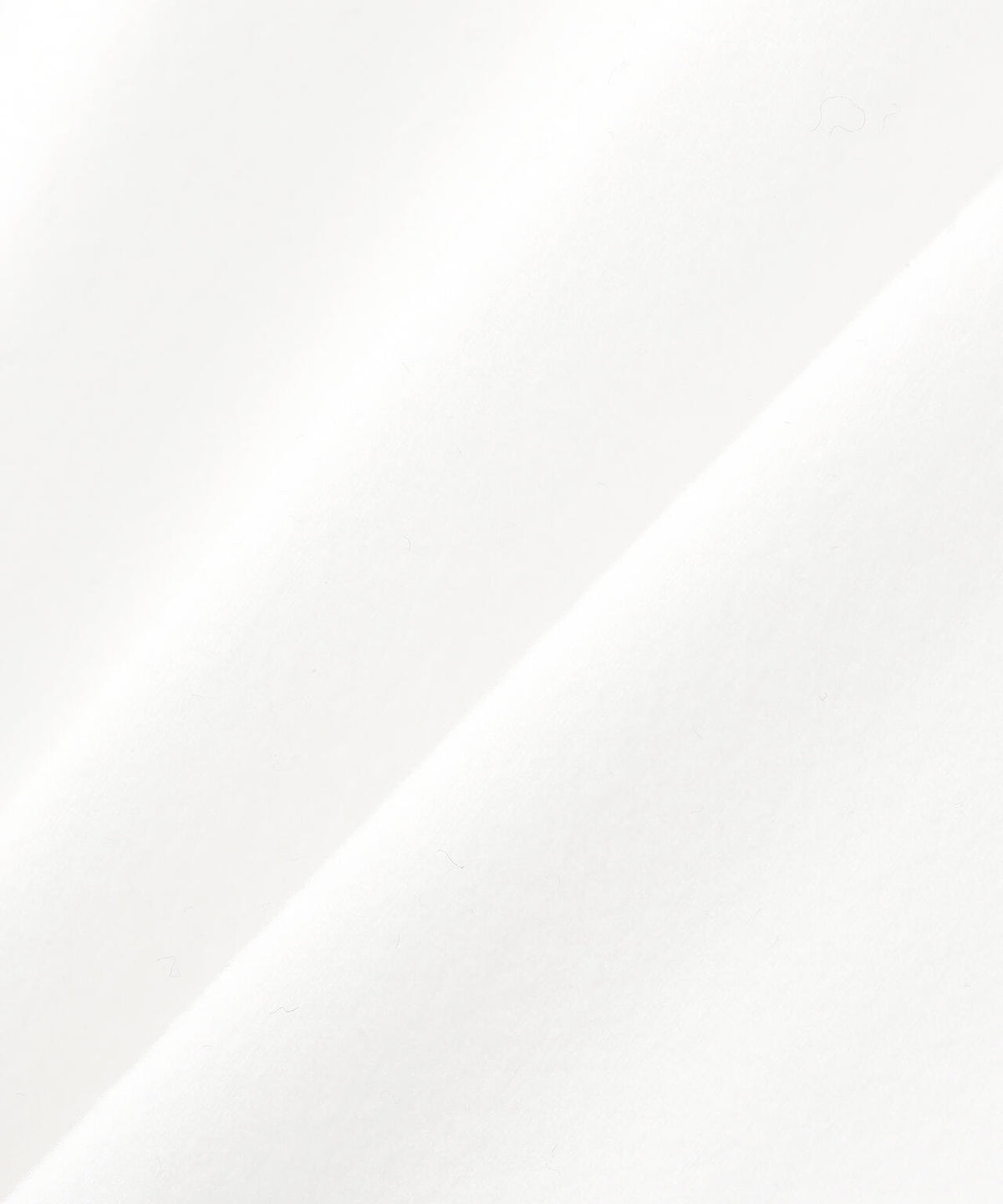 CONTONA起毛ベア天竺ハイネックカットソー (MENS)