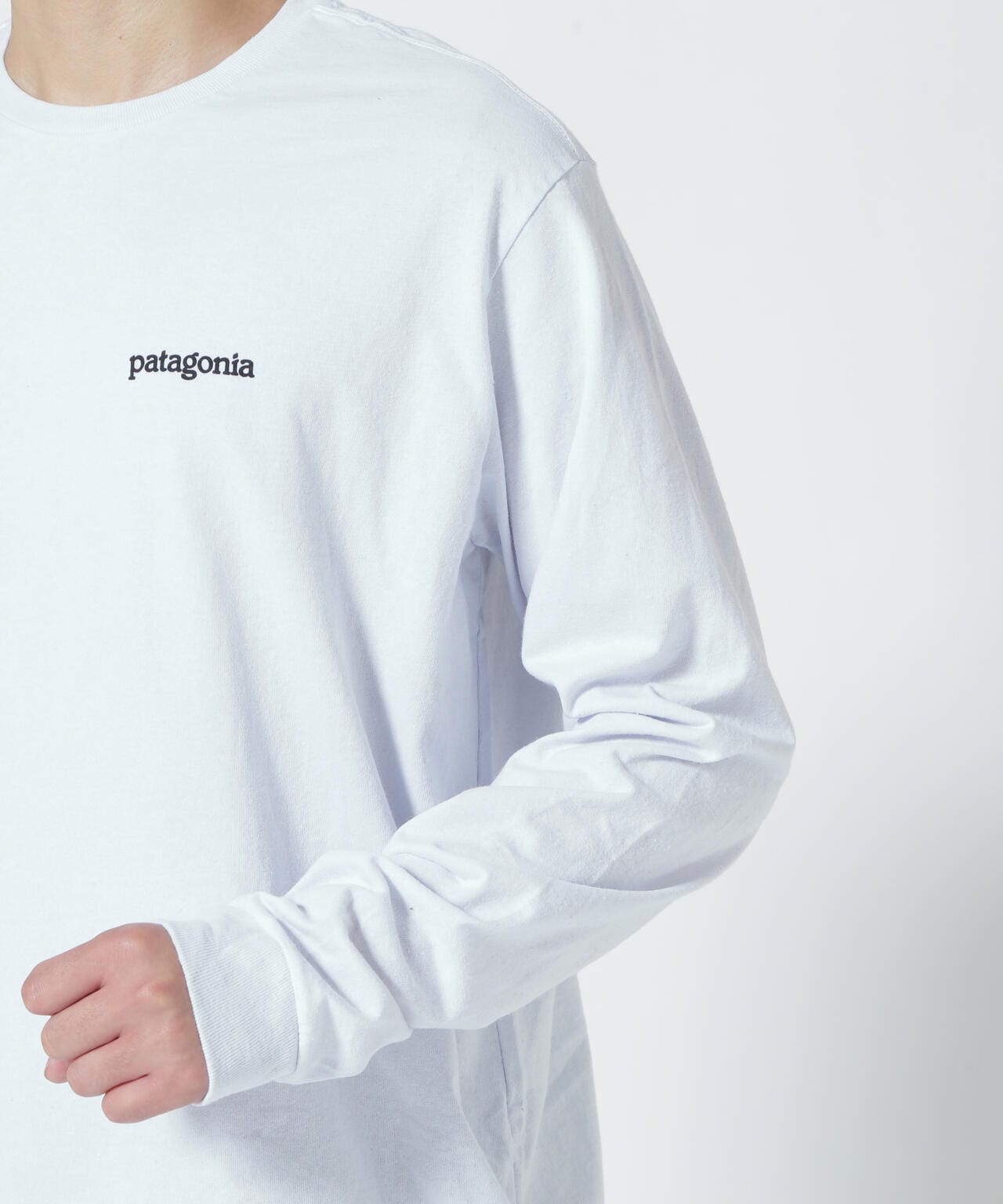 Patagonia/パタゴニア　メンズ・ロングスリーブフィッツロイホライゾンズレスポンシビリティー