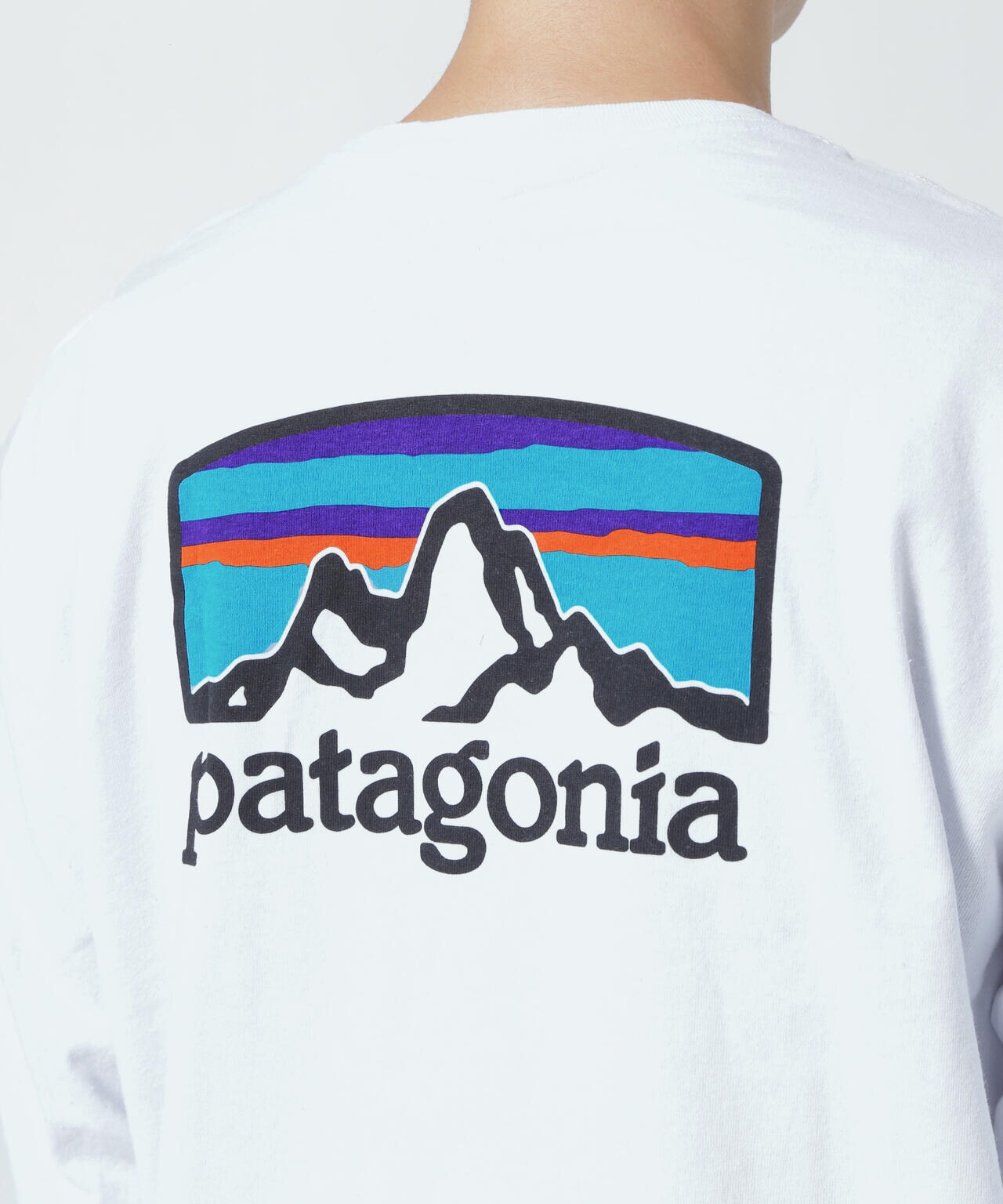 Patagonia/パタゴニア　メンズ・ロングスリーブフィッツロイホライゾンズレスポンシビリティー