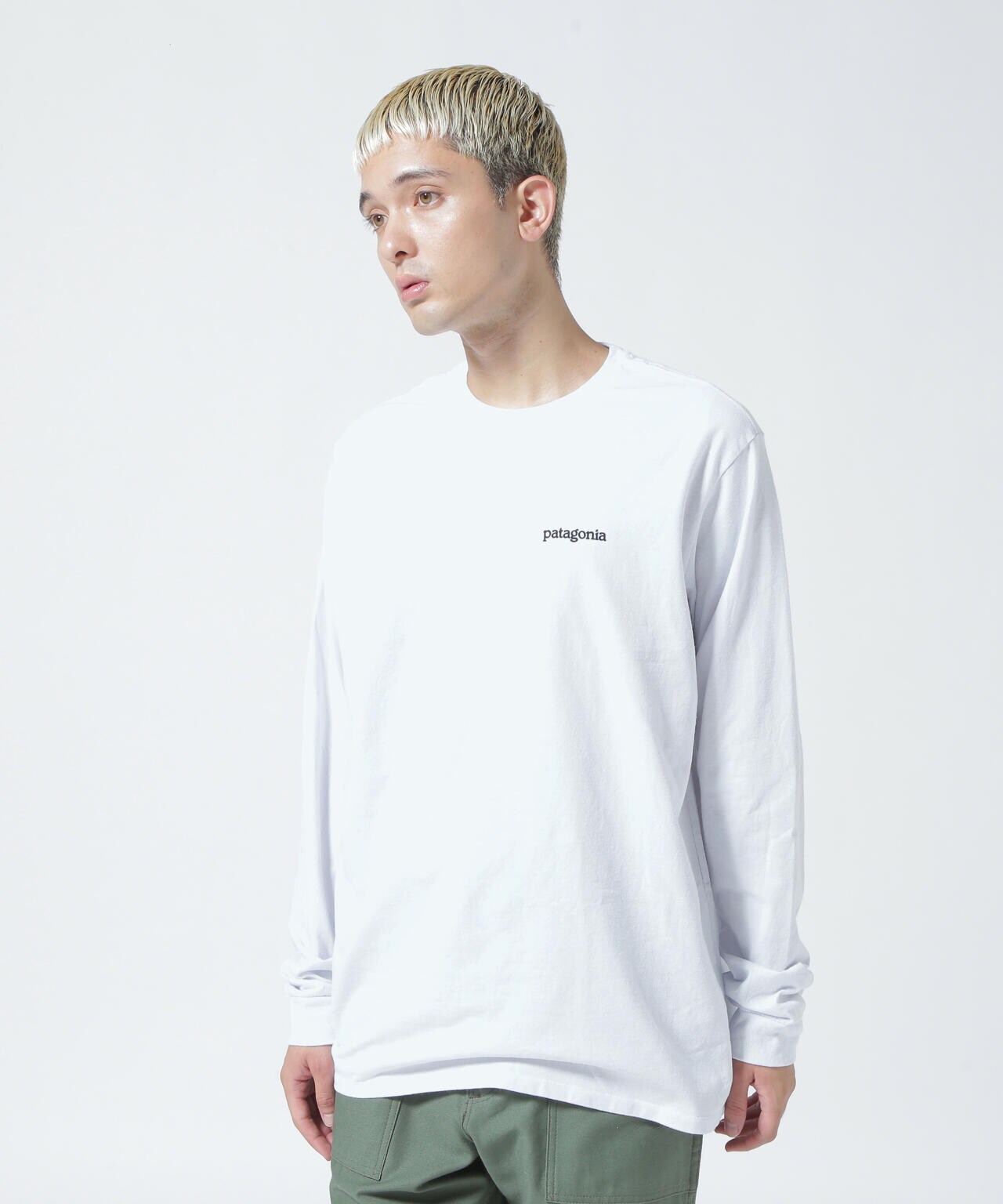 Patagonia/パタゴニア　メンズ・ロングスリーブフィッツロイホライゾンズレスポンシビリティー