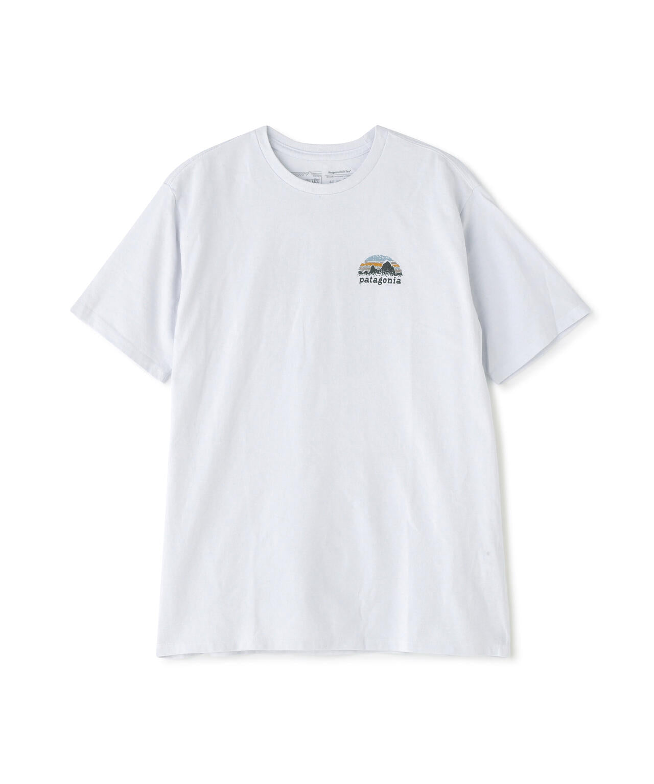 Patagonia/パタゴニア　メンズ・スカイライン・ステンシル・レスポンシビリティー 37673