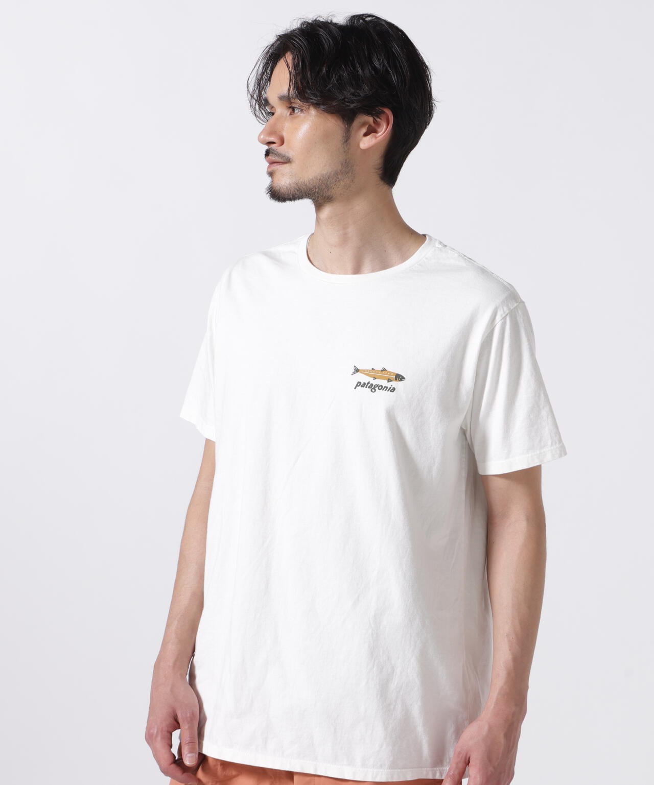 Patagonia/パタゴニア　ダイブ＆ダイン・オーガニック・Tシャツ